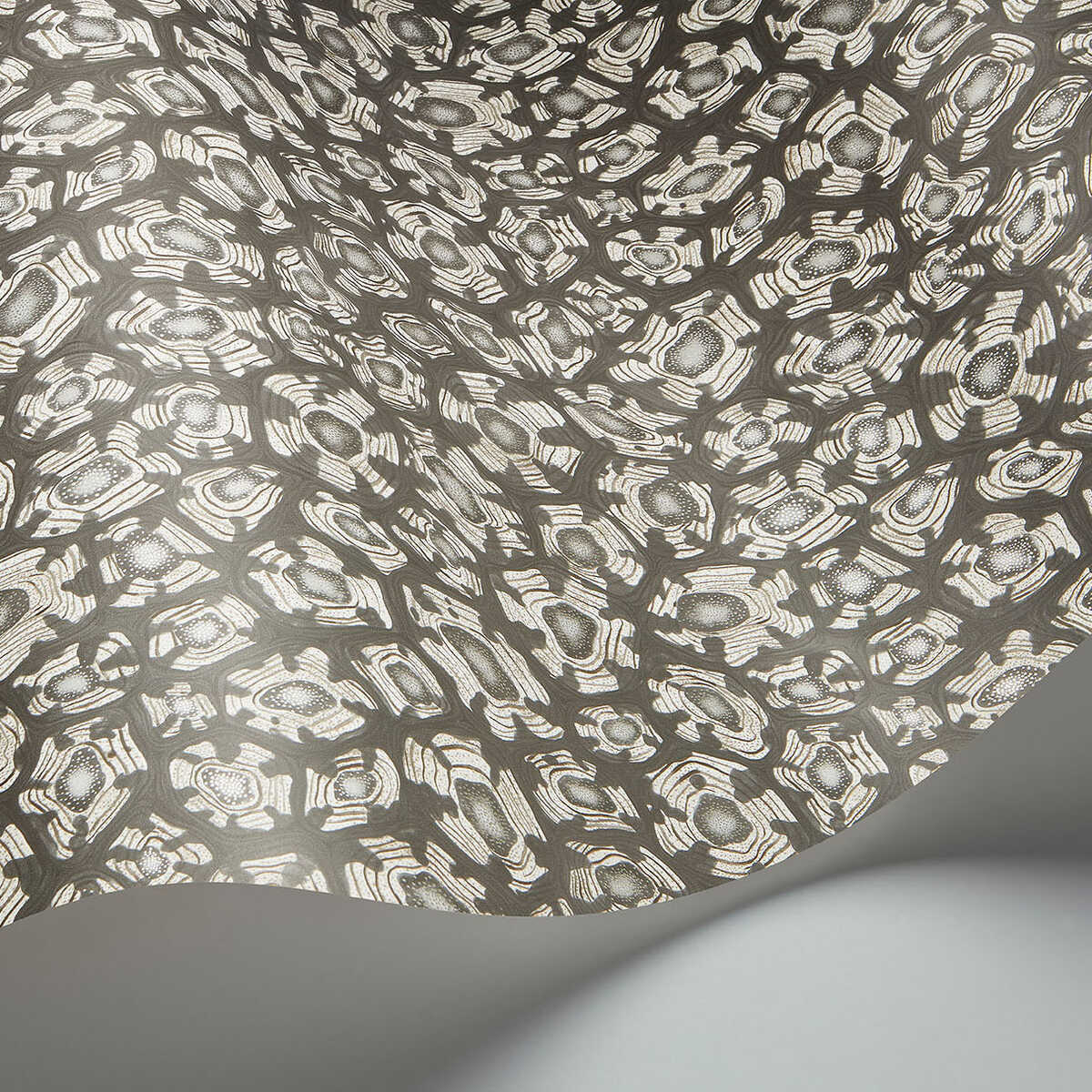 Savanna Shell - Soot - COLE & SON Papel pintado