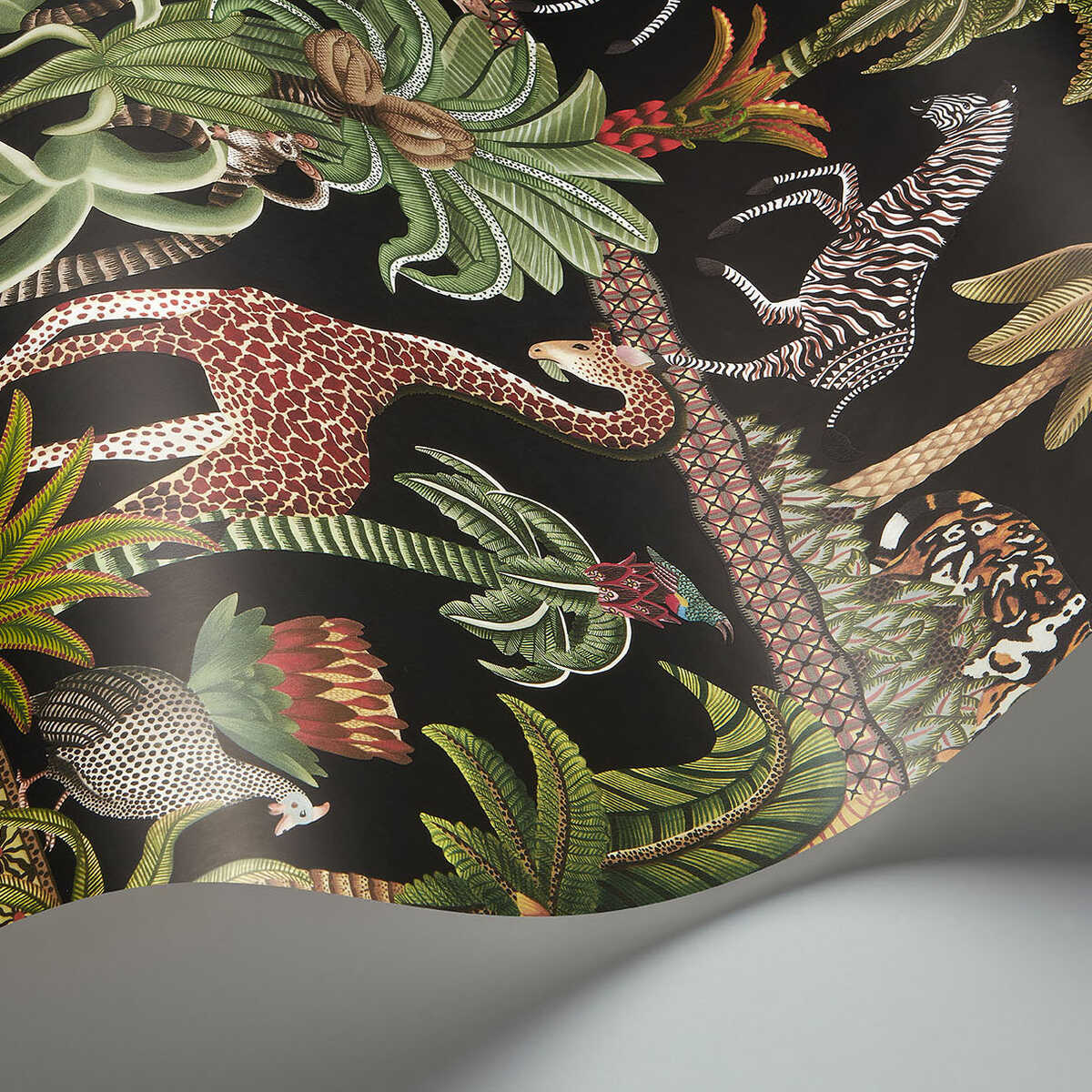 Afrika Kingdom - Olvgrn&Spgrn/Bck - COLE & SON Wallpaper