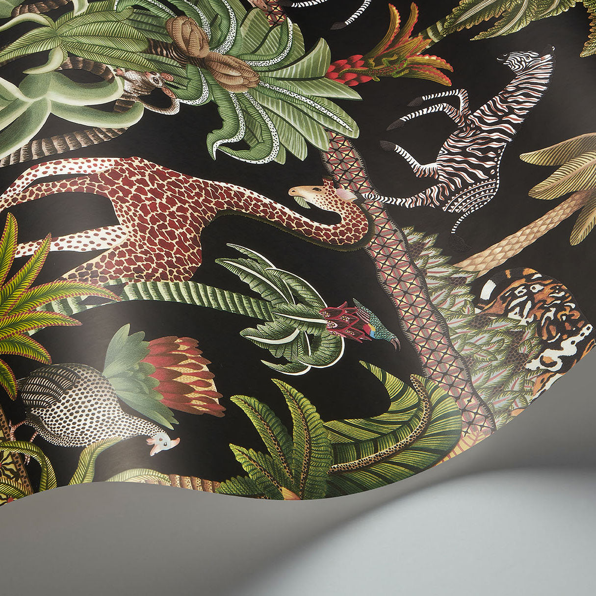 Afrika Kingdom - Olvgrn&Spgrn/Bck - Cole & Son Wallpaper