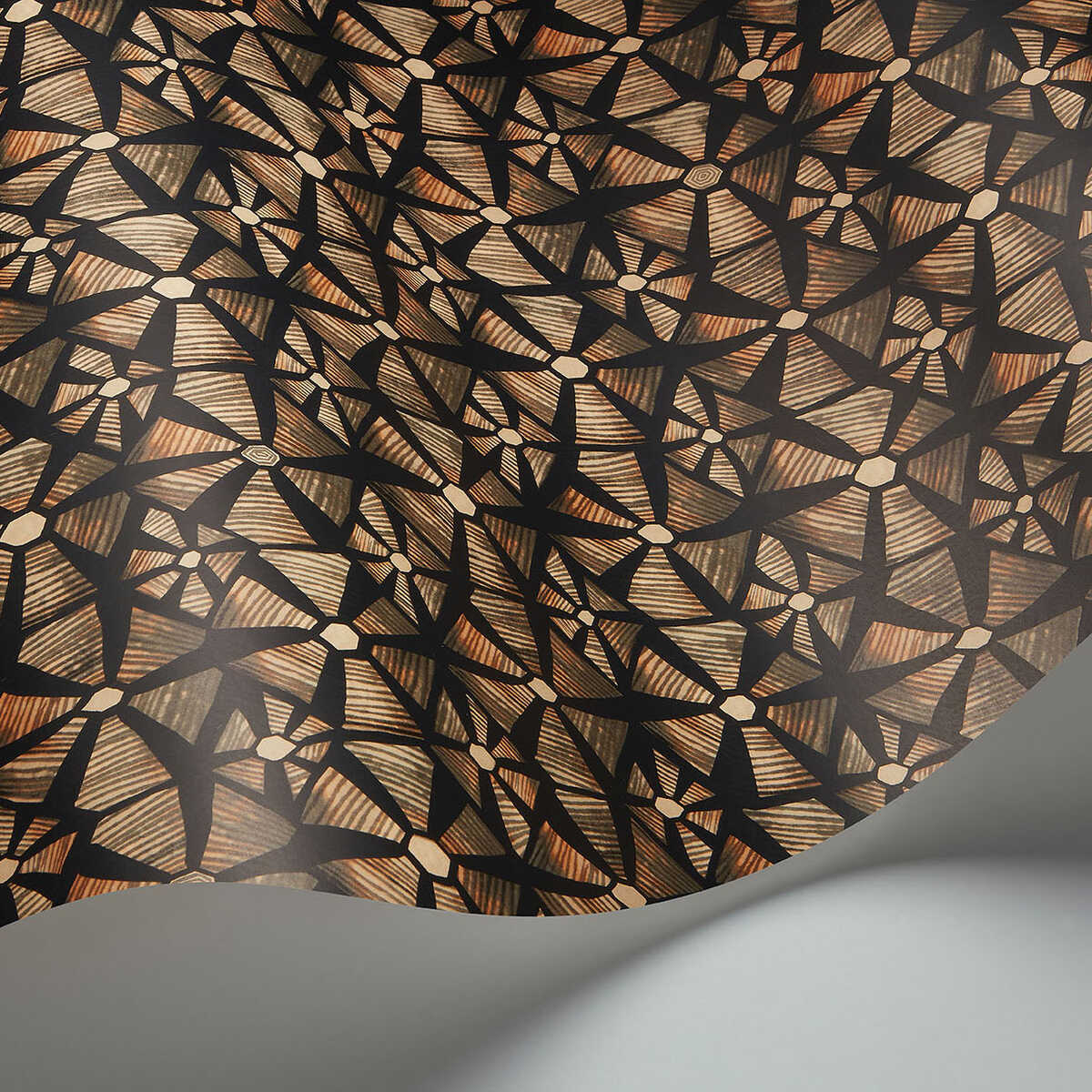 Kalahari - Spice & Black - COLE & SON Wallpaper