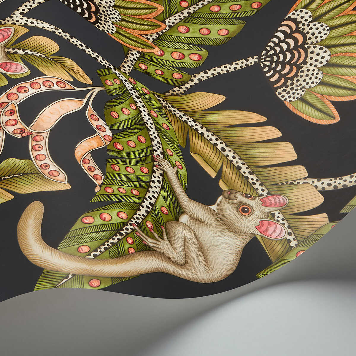 Bush Baby - Spgrn&Orng/Blck - COLE & SON Wallpaper