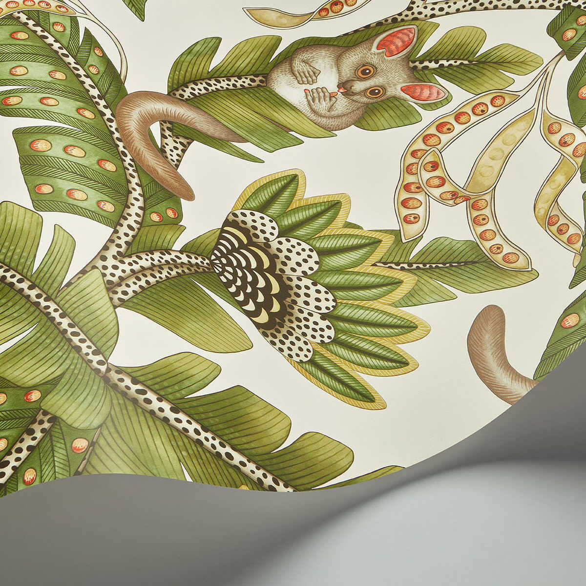 Bush Baby - Sprgrn&Mrgld/Stn - COLE & SON Wallpaper