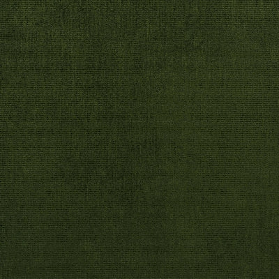 tarazona-forest-designers-guild-fdg2919-19