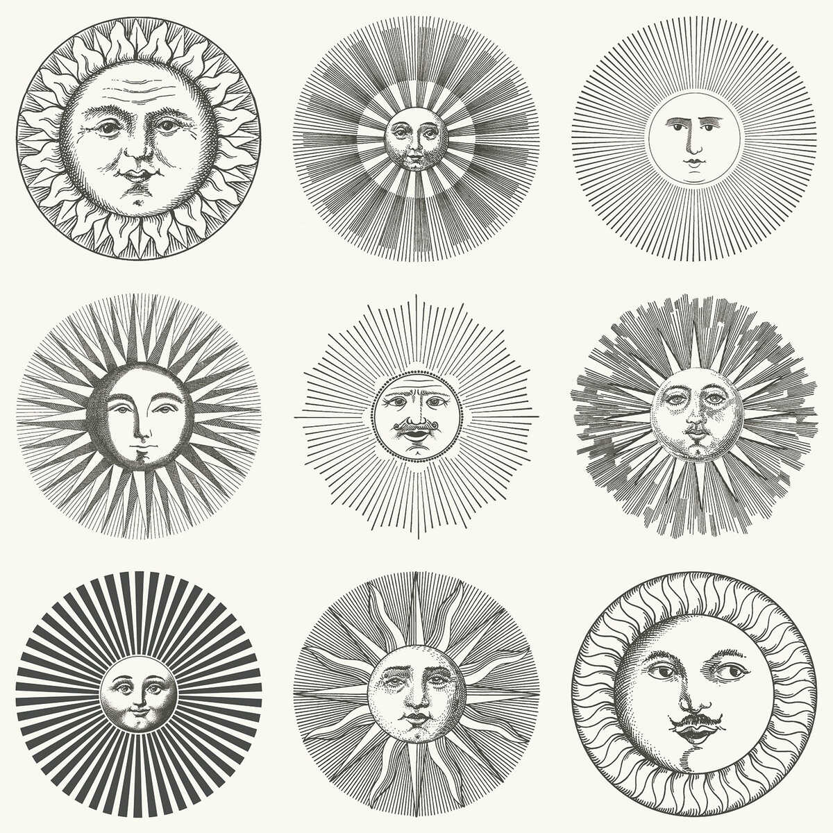 Soli - Black & White