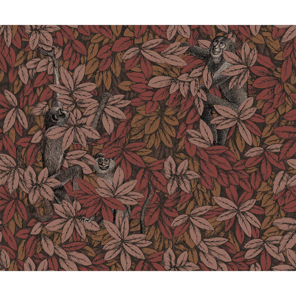 Foglie E Scimmie - Autumnal