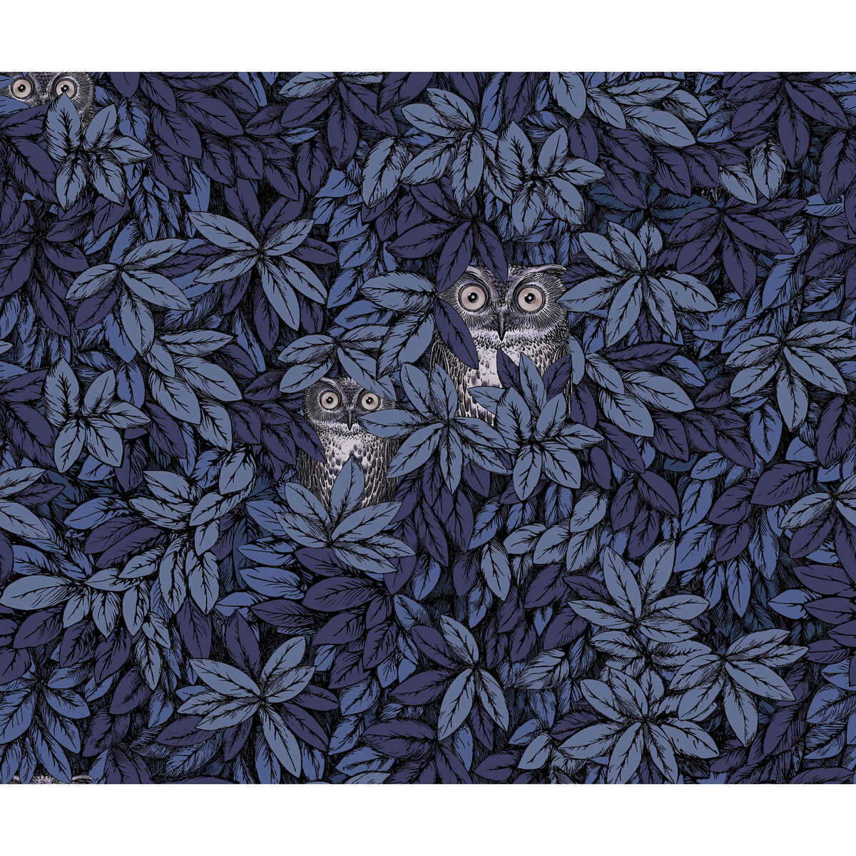 Foglie E Civette - Midnight - COLE & SON Wallpaper