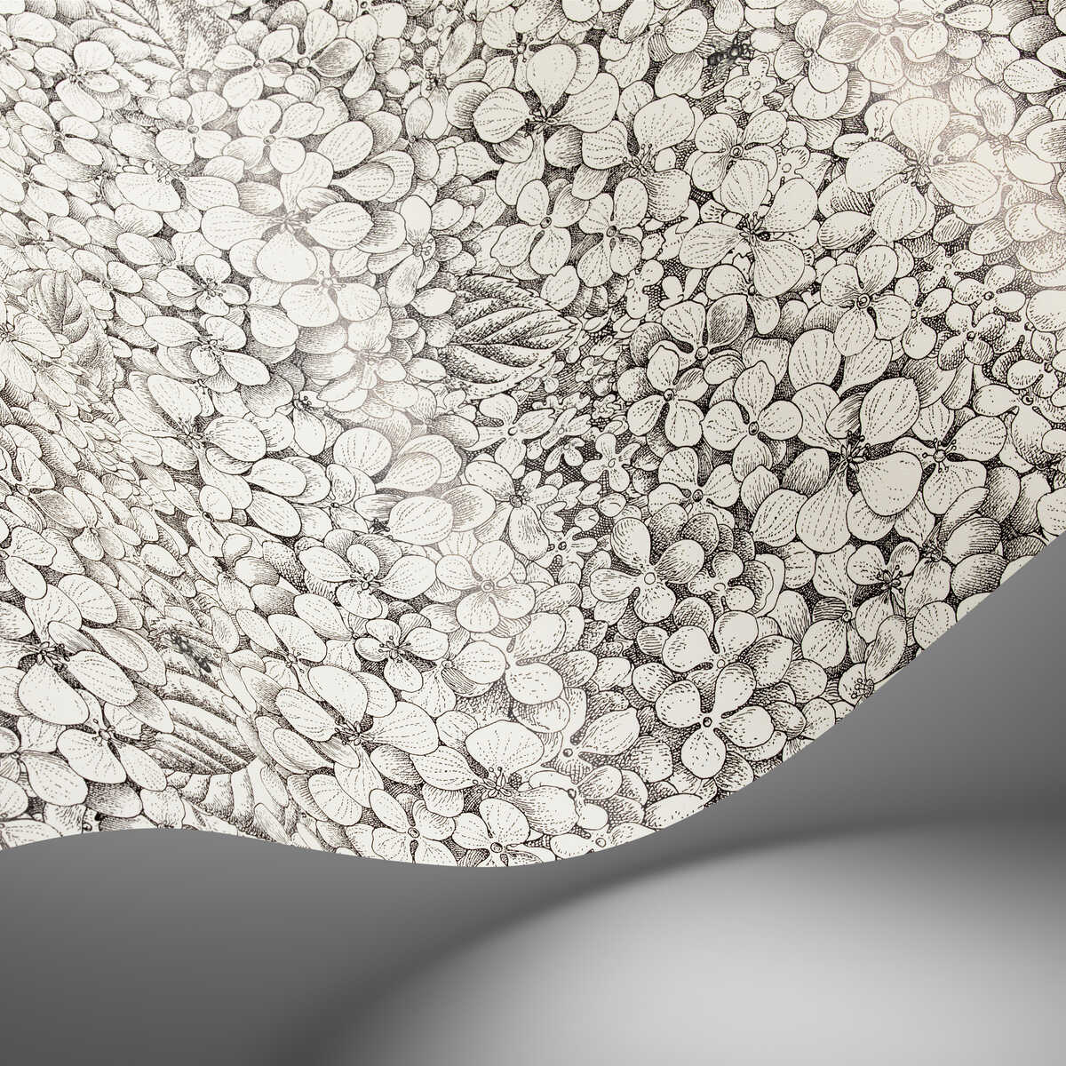 Ortensia - Black & White - COLE & SON Wallpaper