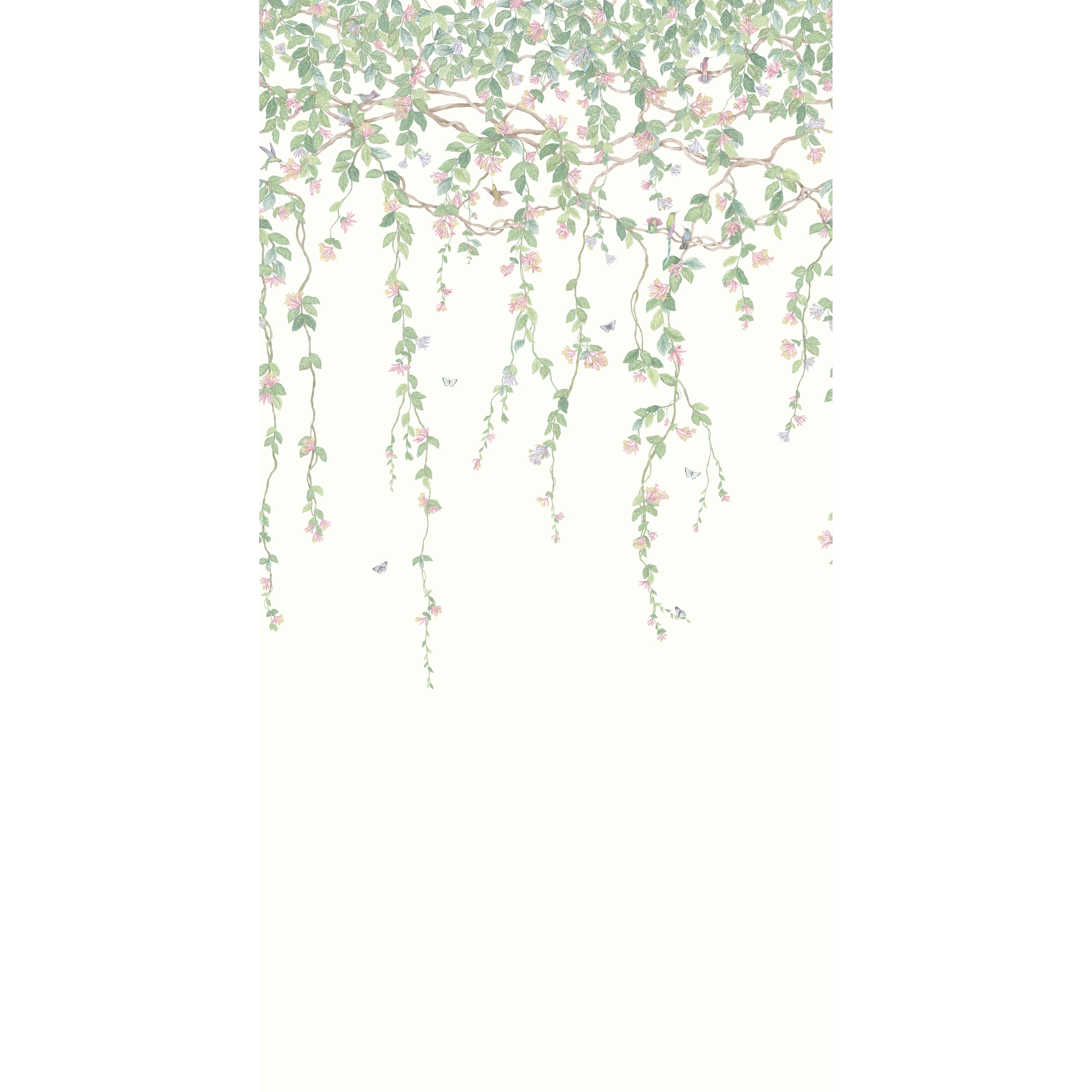 Hummingbirds Flora - Blush - Cole & Son Wallpaper