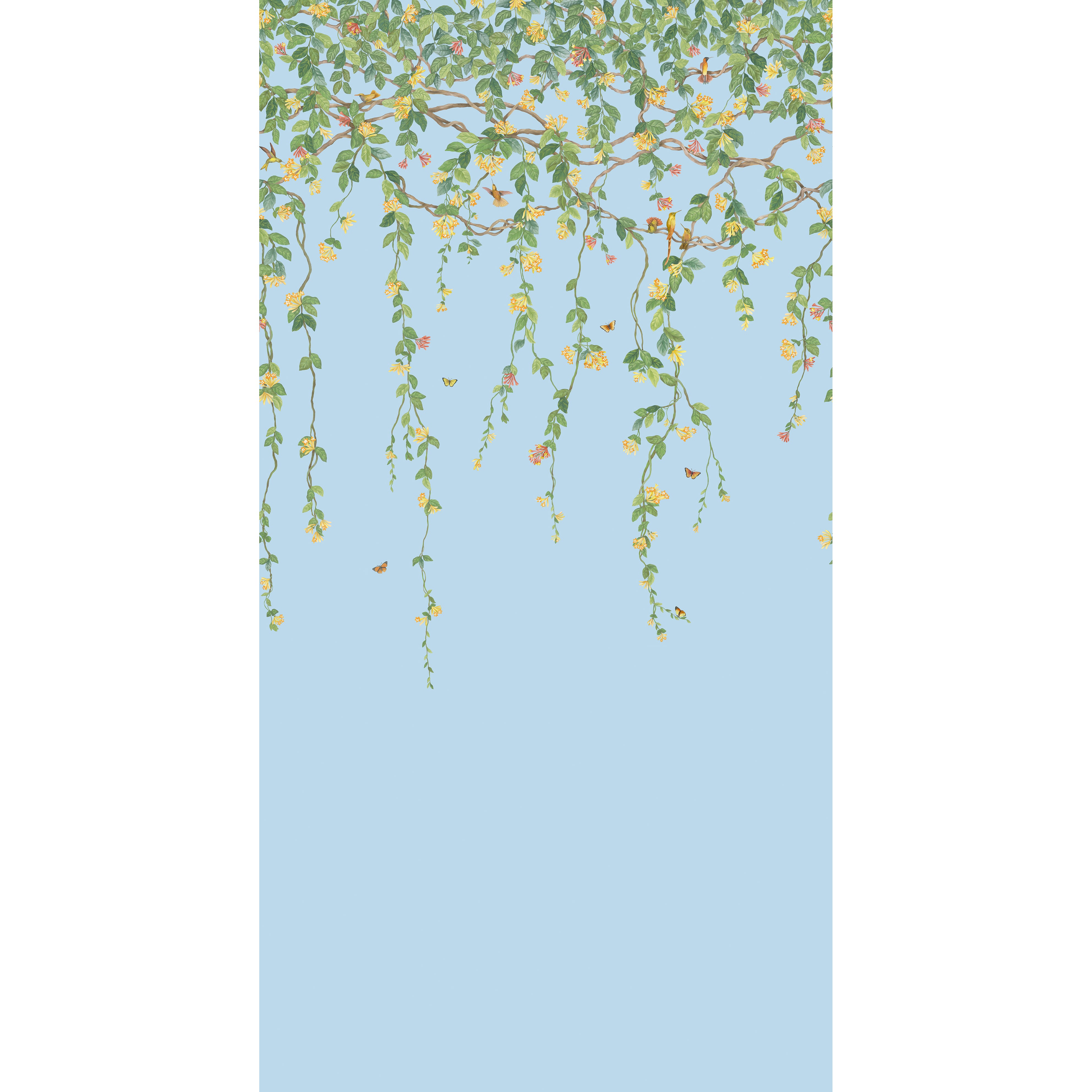 Hummingbirds Flora - Blue - Cole & Son Wallpaper