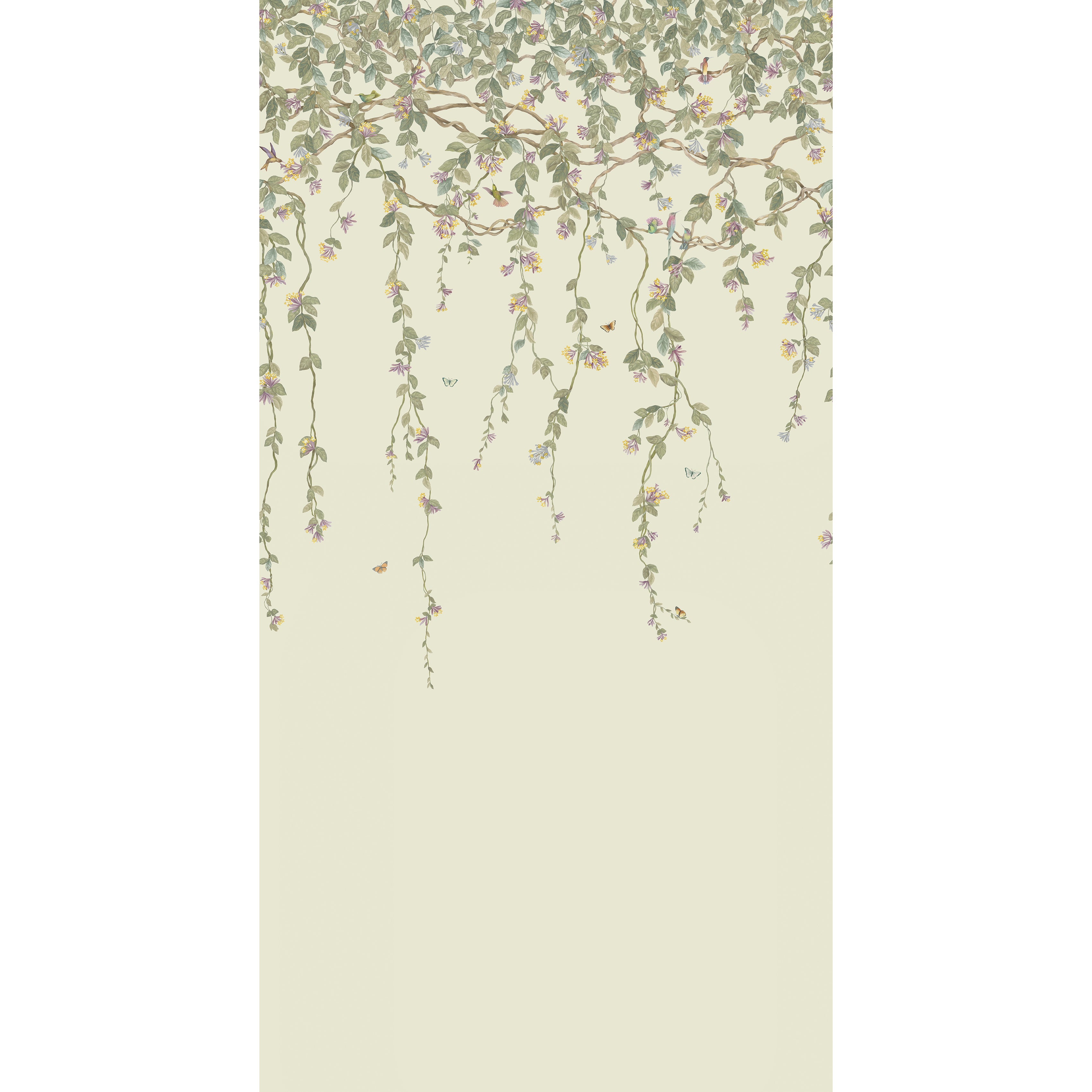 Hummingbirds Flora - Multi - Cole & Son Wallpaper