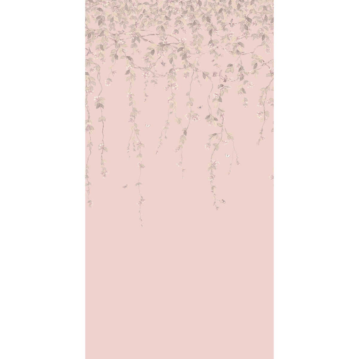 Hummingbirds Flora - Pink/Grey - COLE & SON Wallpaper
