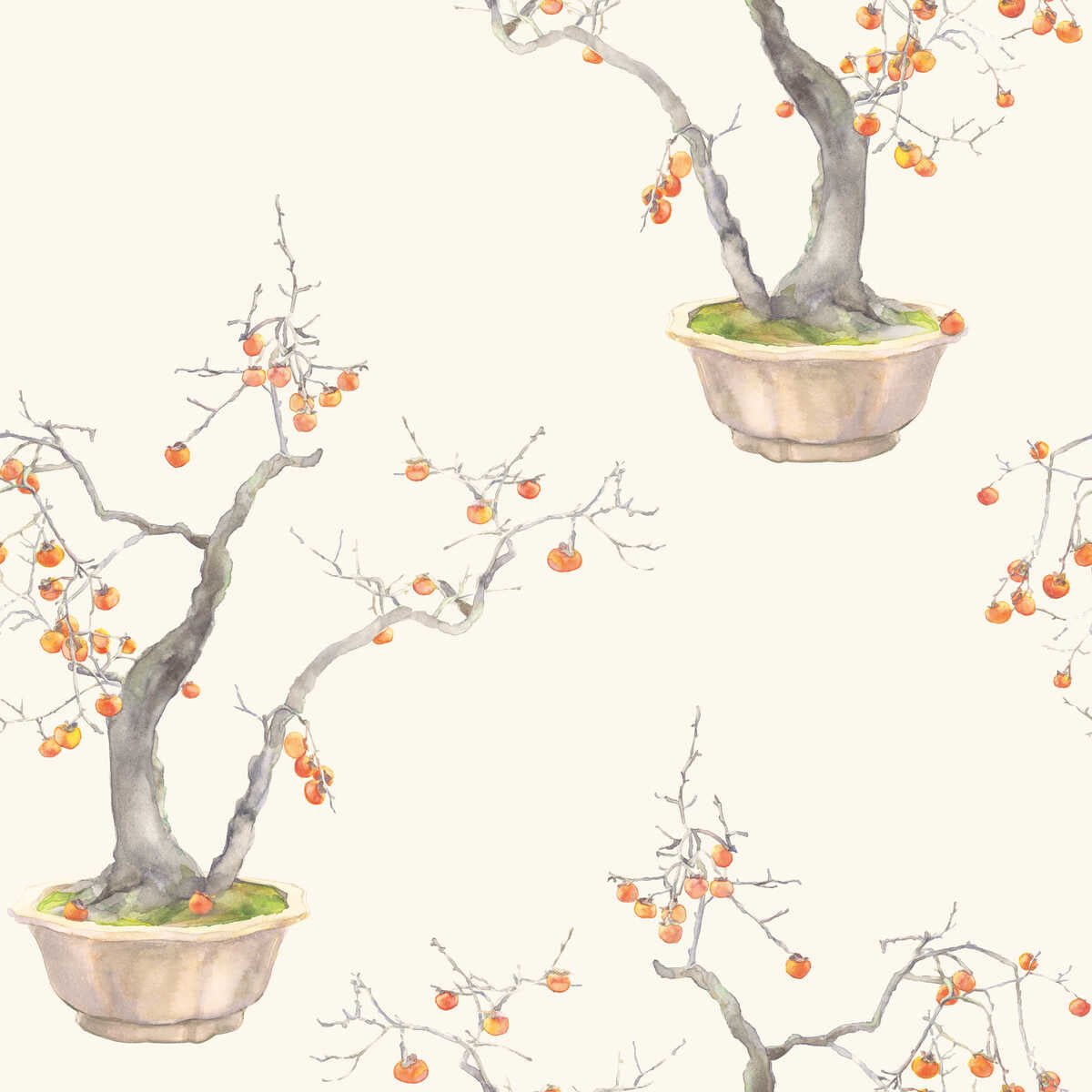 Kaki Persimmon - Bergamot - COLE & SON Wallpaper