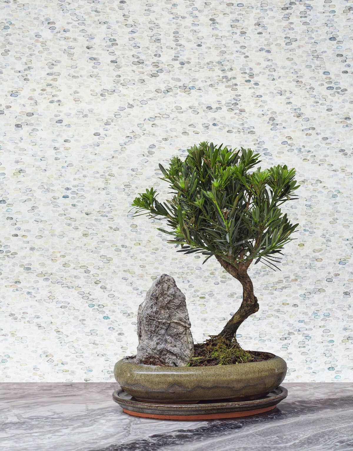 Meditation Stone - Stone - COLE & SON Wallpaper