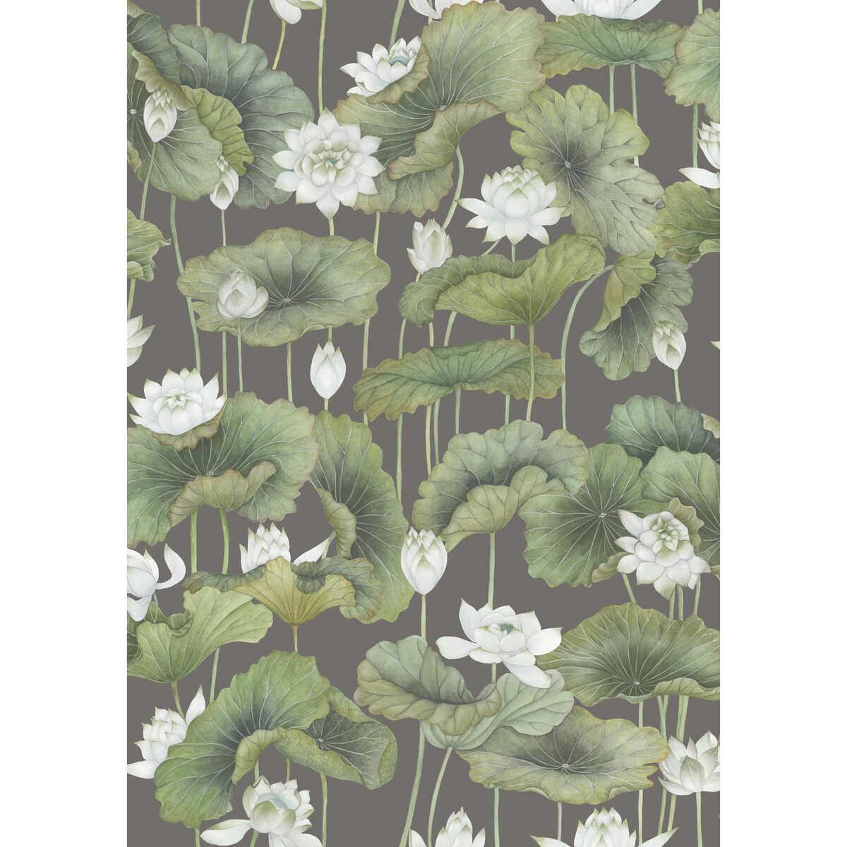 Lily Lotus - White/Charcoal - COLE & SON Wallpaper