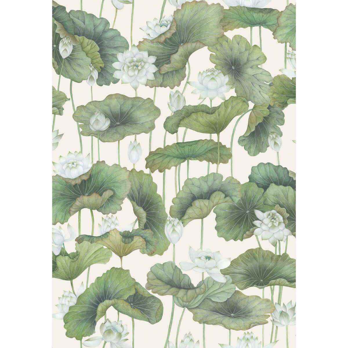 Lily Lotus - White/Cream - COLE & SON Wallpaper