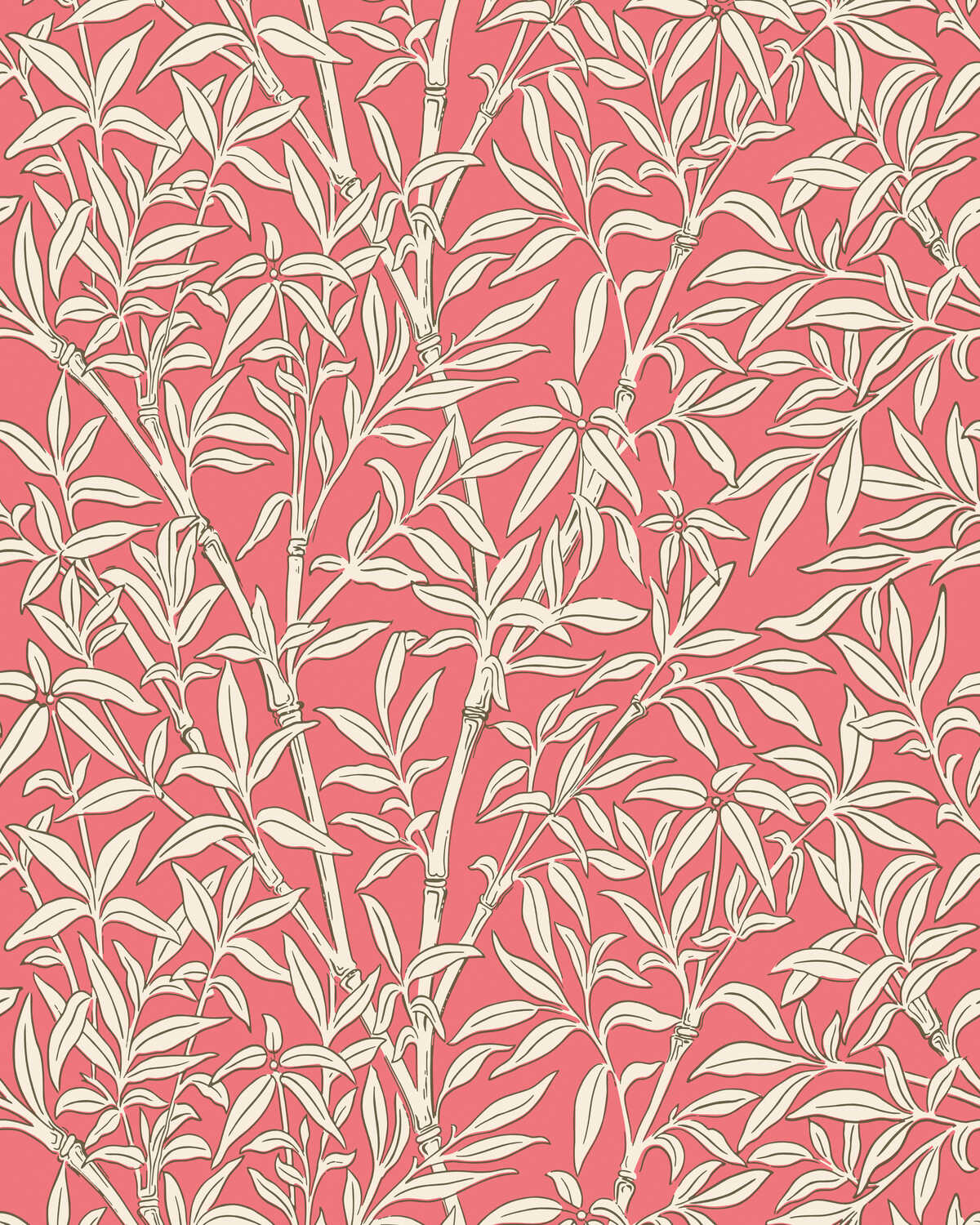 Bamboo Forest - Chalk/Rouge - COLE & SON Wallpaper