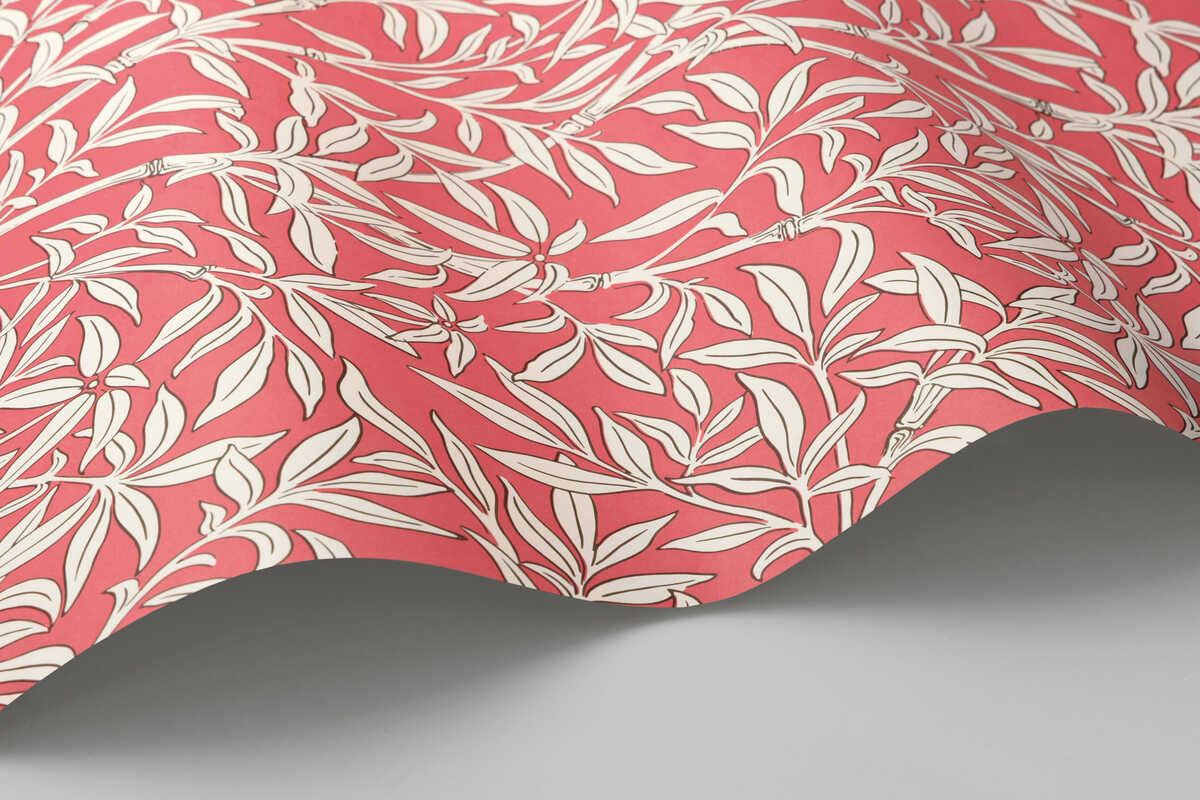 Bamboo Forest - Chalk/Rouge - COLE & SON Wallpaper