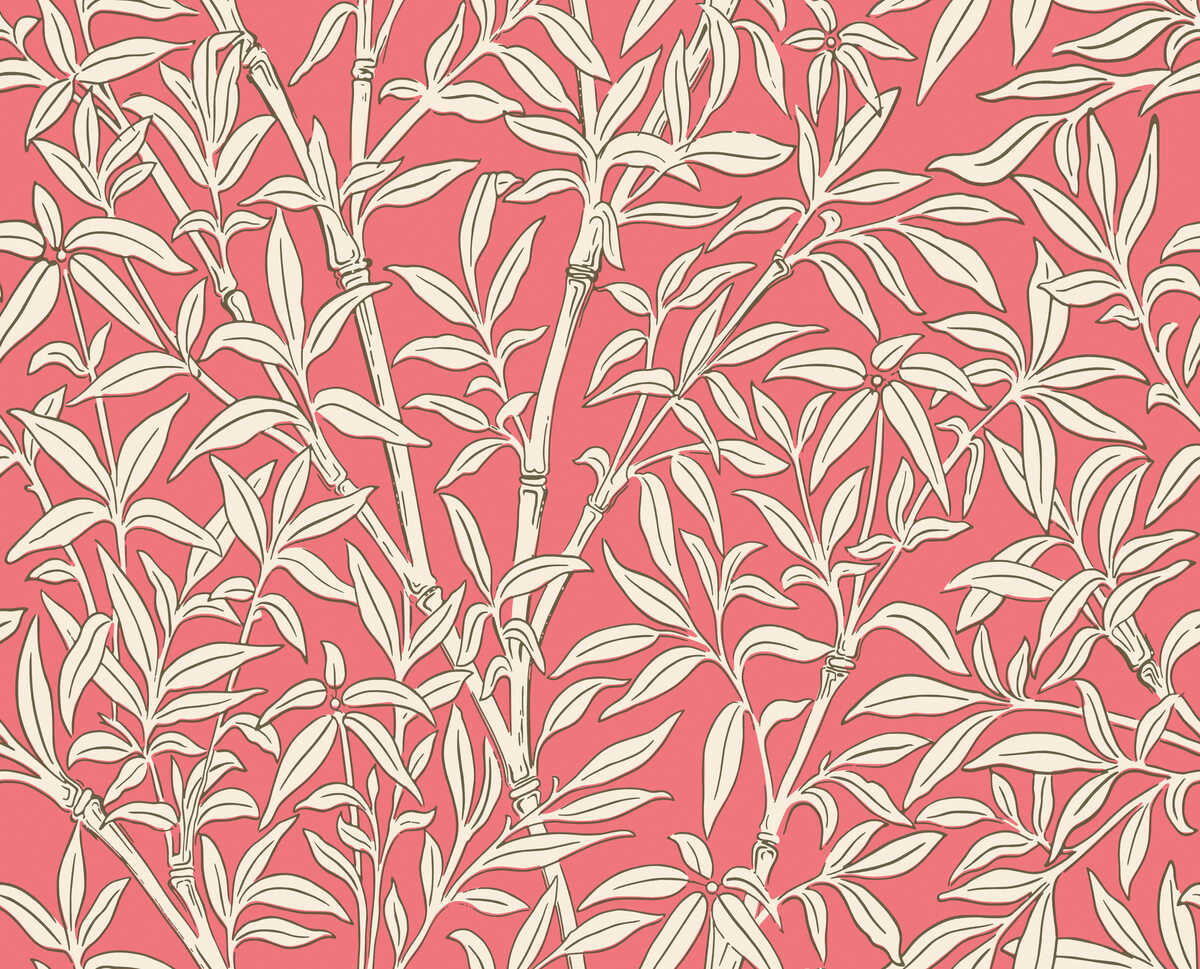Bamboo Forest - Chalk/Rouge - COLE & SON Wallpaper