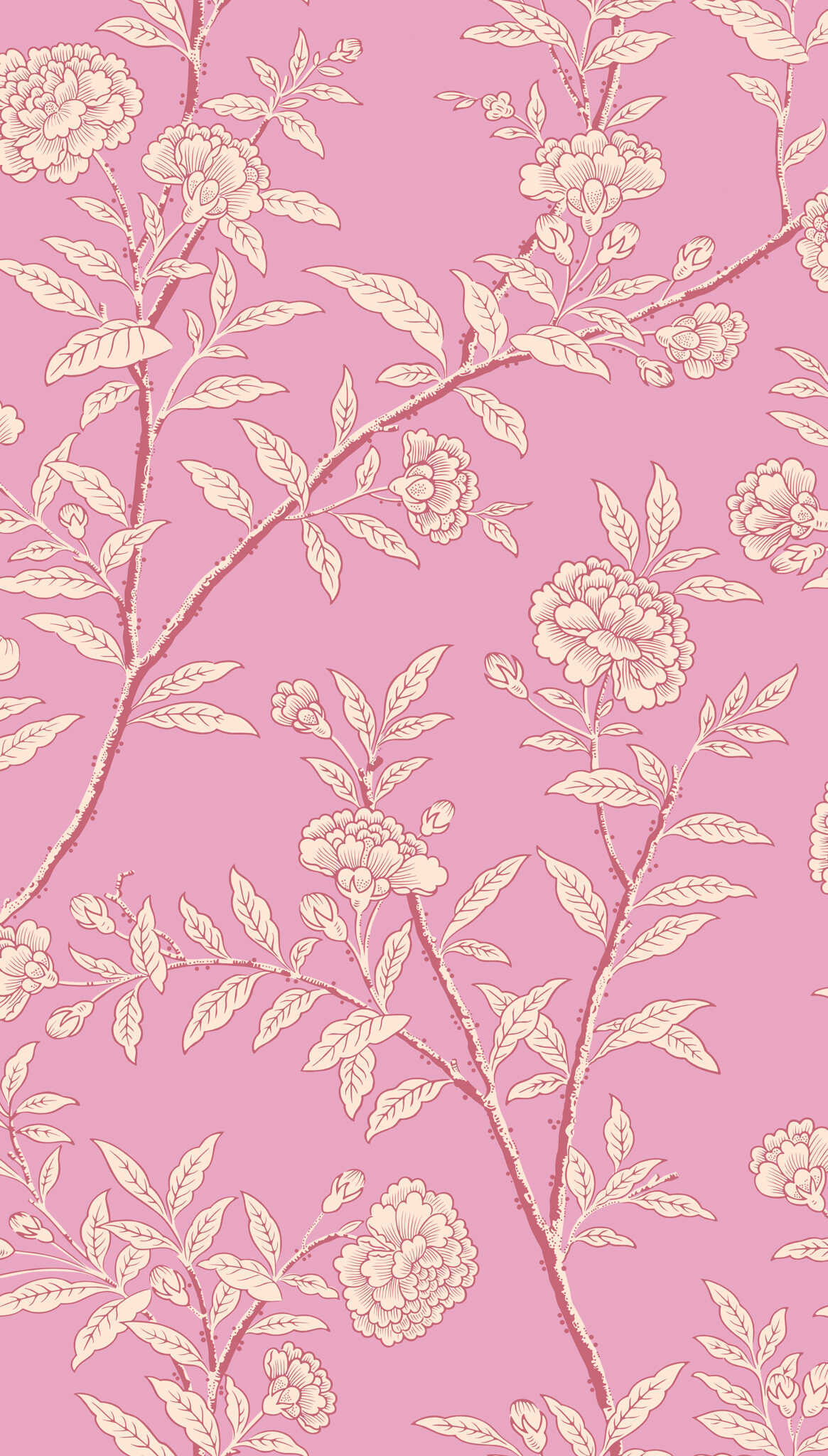 Roseberry - Fuchsia - COLE & SON Papel pintado