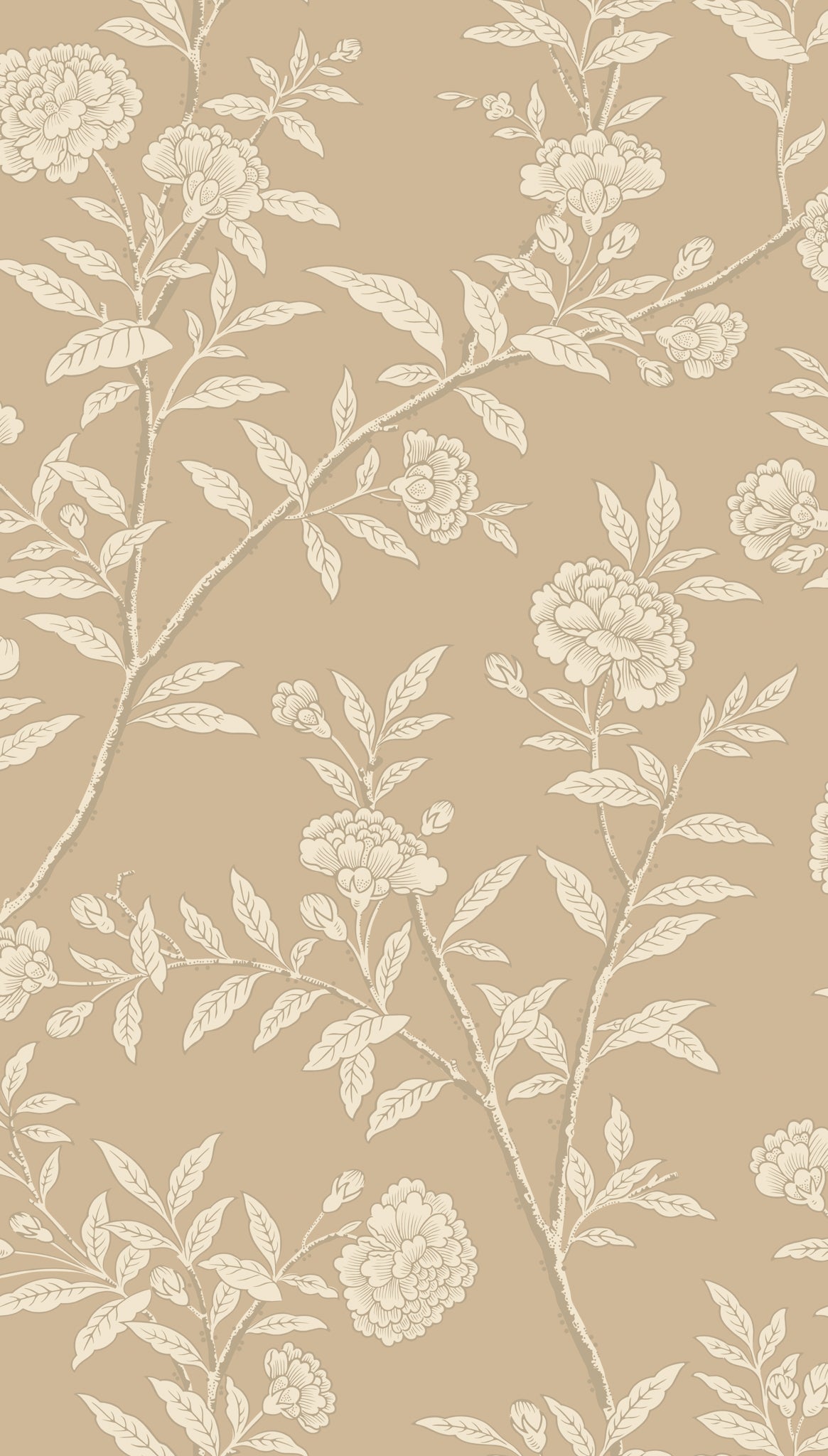 Roseberry - Champagne - Cole & Son Wallpaper