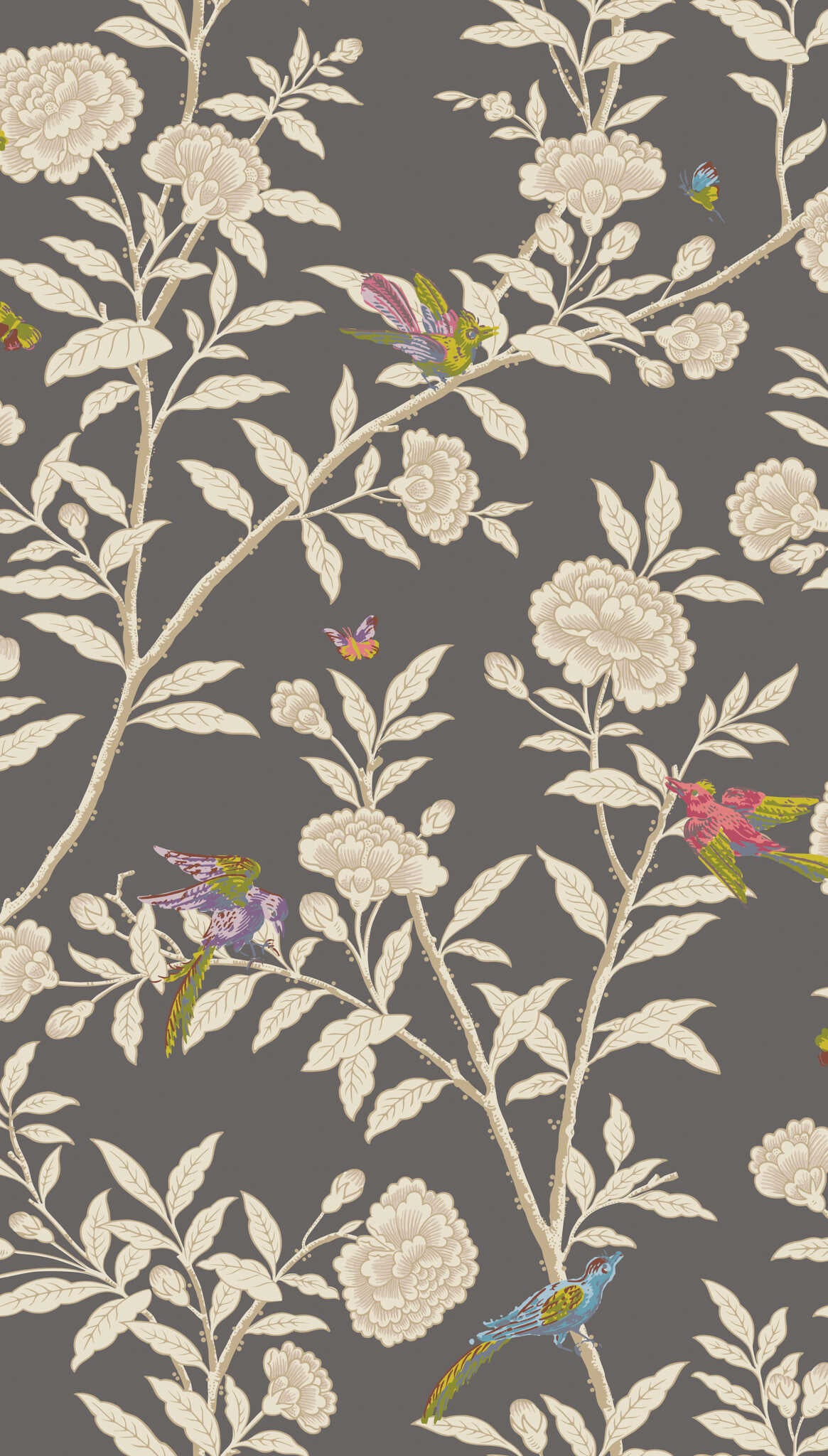 Roseberry With Birds - Charcoal - COLE & SON Wallpaper