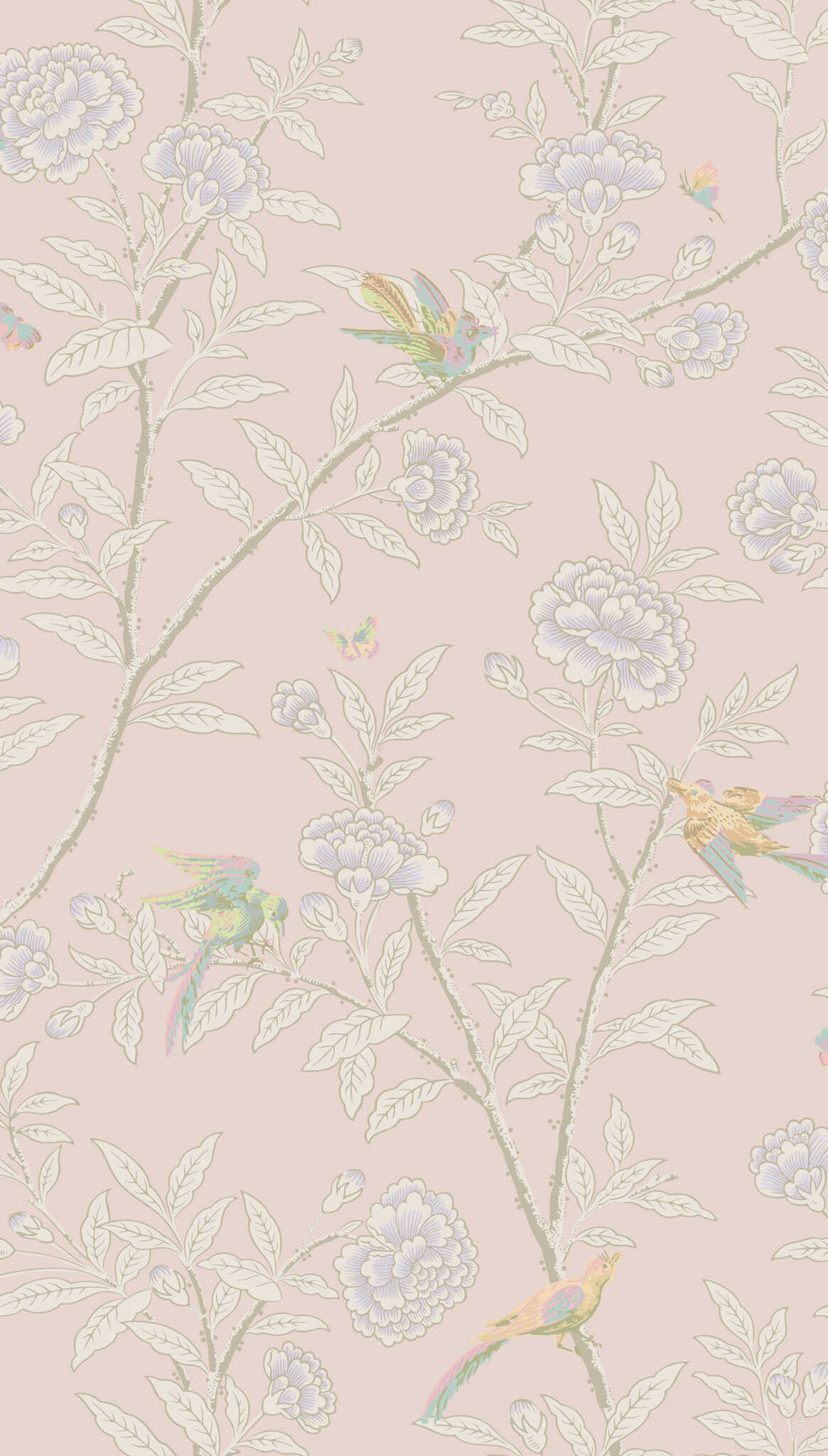 Roseberry With Birds - Pink - COLE & SON Wallpaper