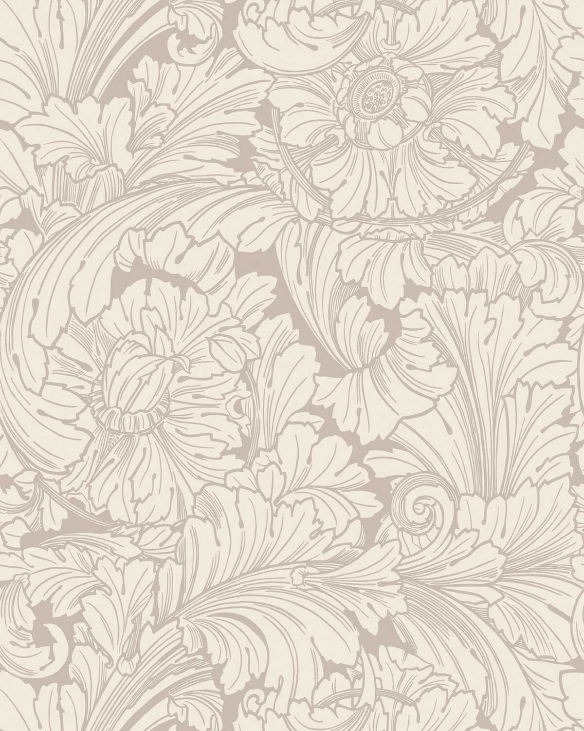 Acanthus - Cream/Pebble - COLE & SON Wallpaper