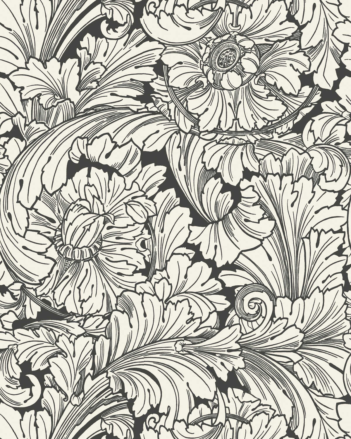 Acanthus - Soot/Snow - COLE & SON Wallpaper
