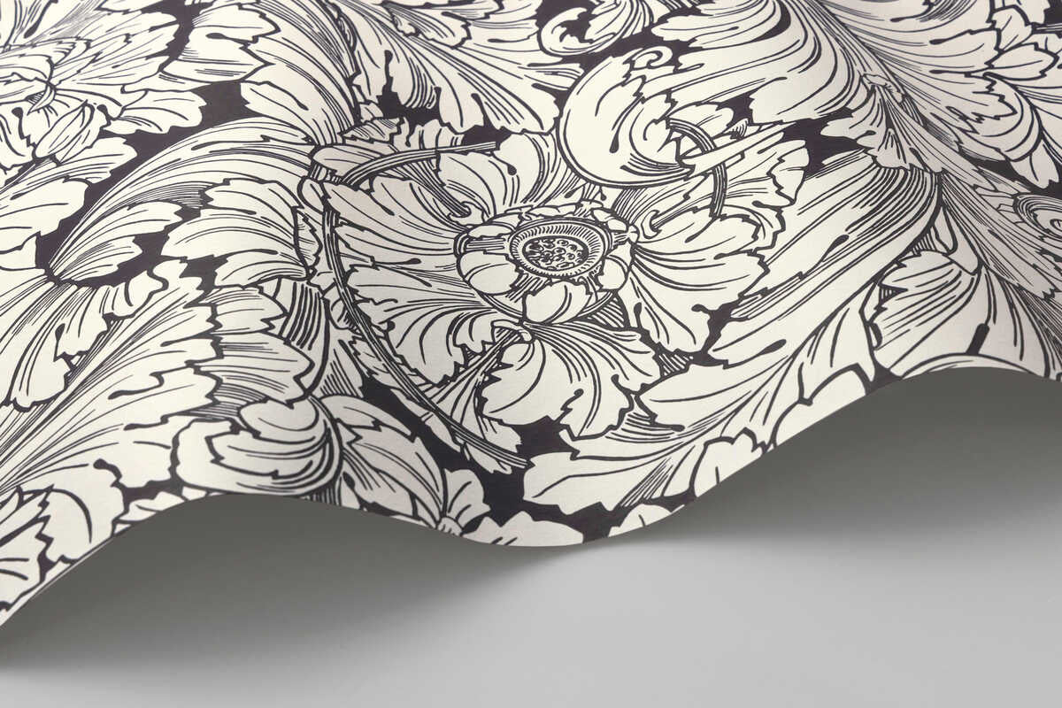 Acanthus - Soot/Snow - COLE & SON Wallpaper