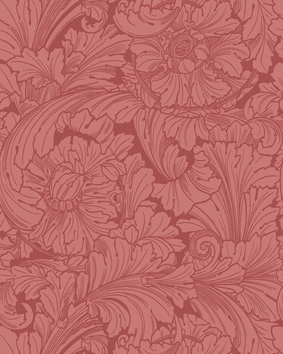 Acanthus - Stately Home Red - COLE & SON Wallpaper