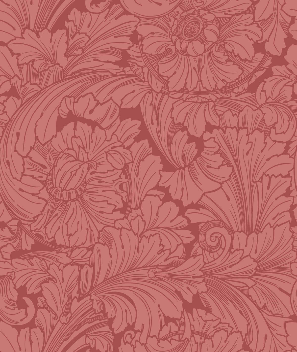 Acanthus - Stately Home Red - COLE & SON Wallpaper