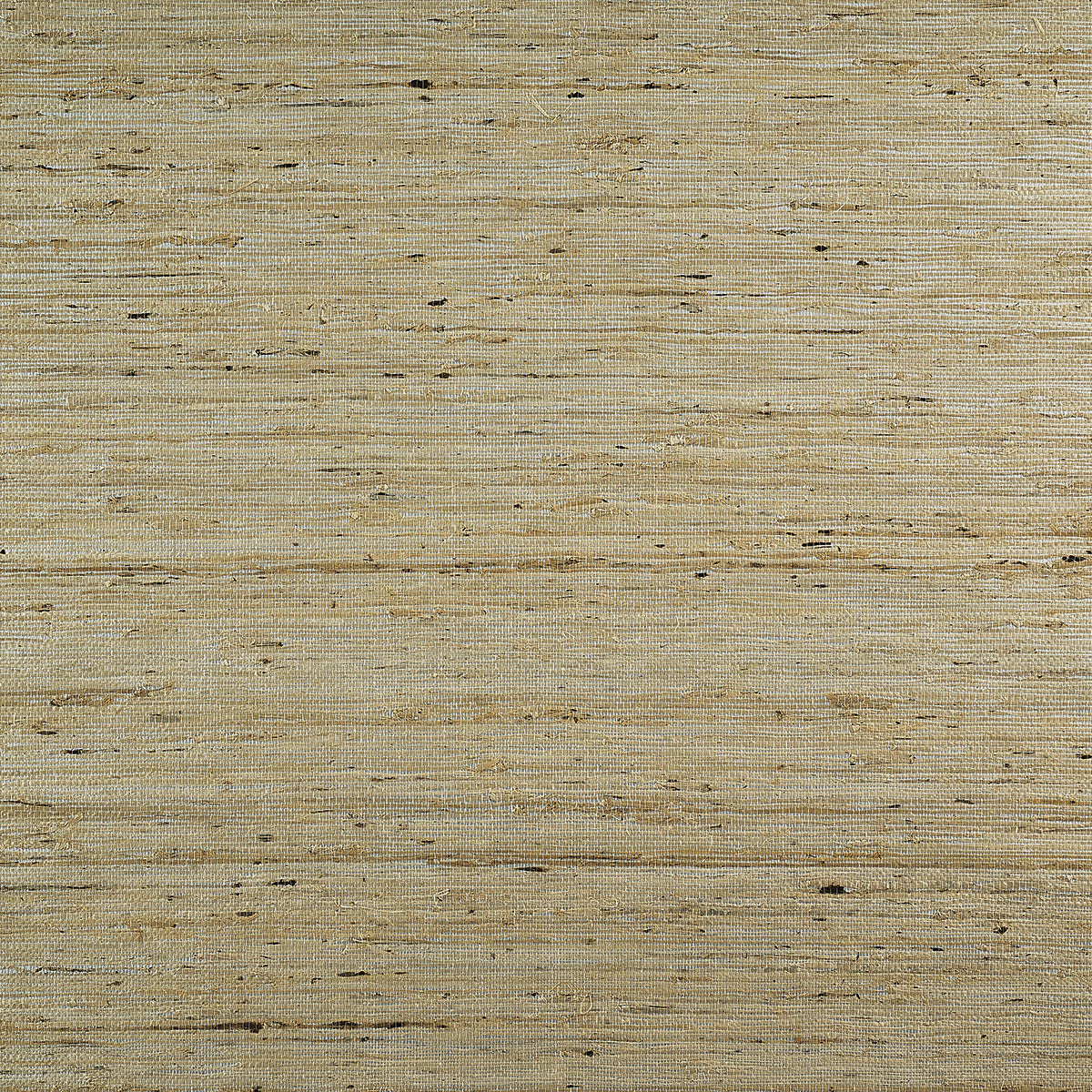 EXTRA-FINE-ARROWROOT-SILVER-JUXTAPOZ-PHILLIP-JEFFRIES-3844