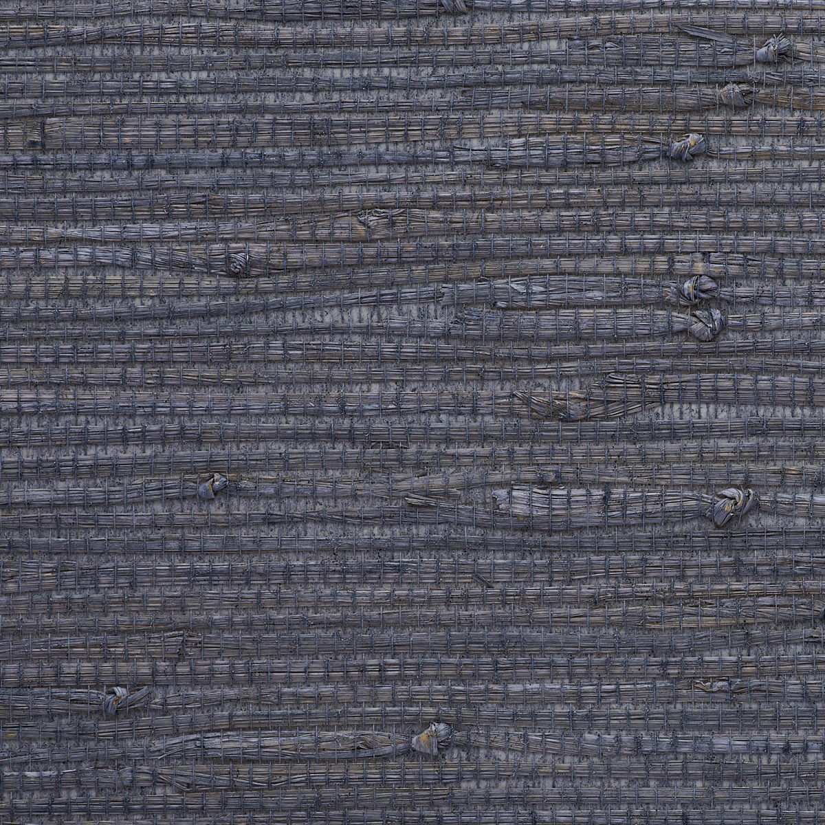 GALLANT-GRASSES-SILVER-SQUIRE-PHILLIP-JEFFRIES-9036 - Phillip Jeffries Wallpaper Wallpaper