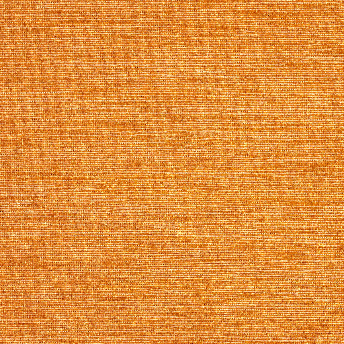 PJ-COLOR-SPLASH-CLEMENTINE-PHILLIP-JEFFRIES-9790 - Phillip Jeffries Wallpaper Papel pintado