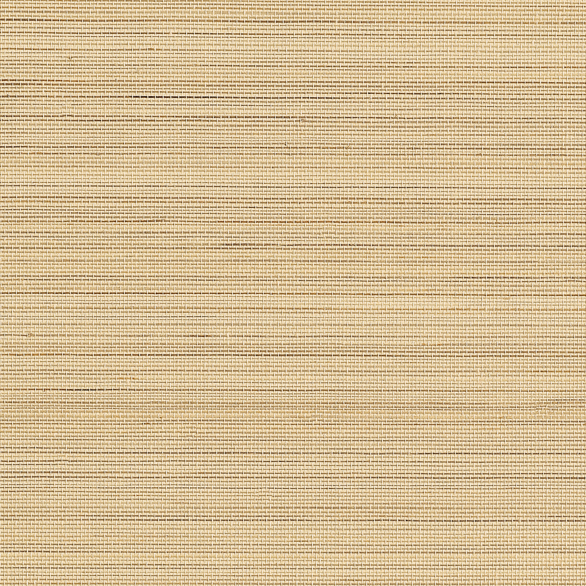 ABACA-HARVEST-SUNLIT-SANDS-PHILLIP-JEFFRIES-23700 - Phillip Jeffries Wallpaper Wallpaper