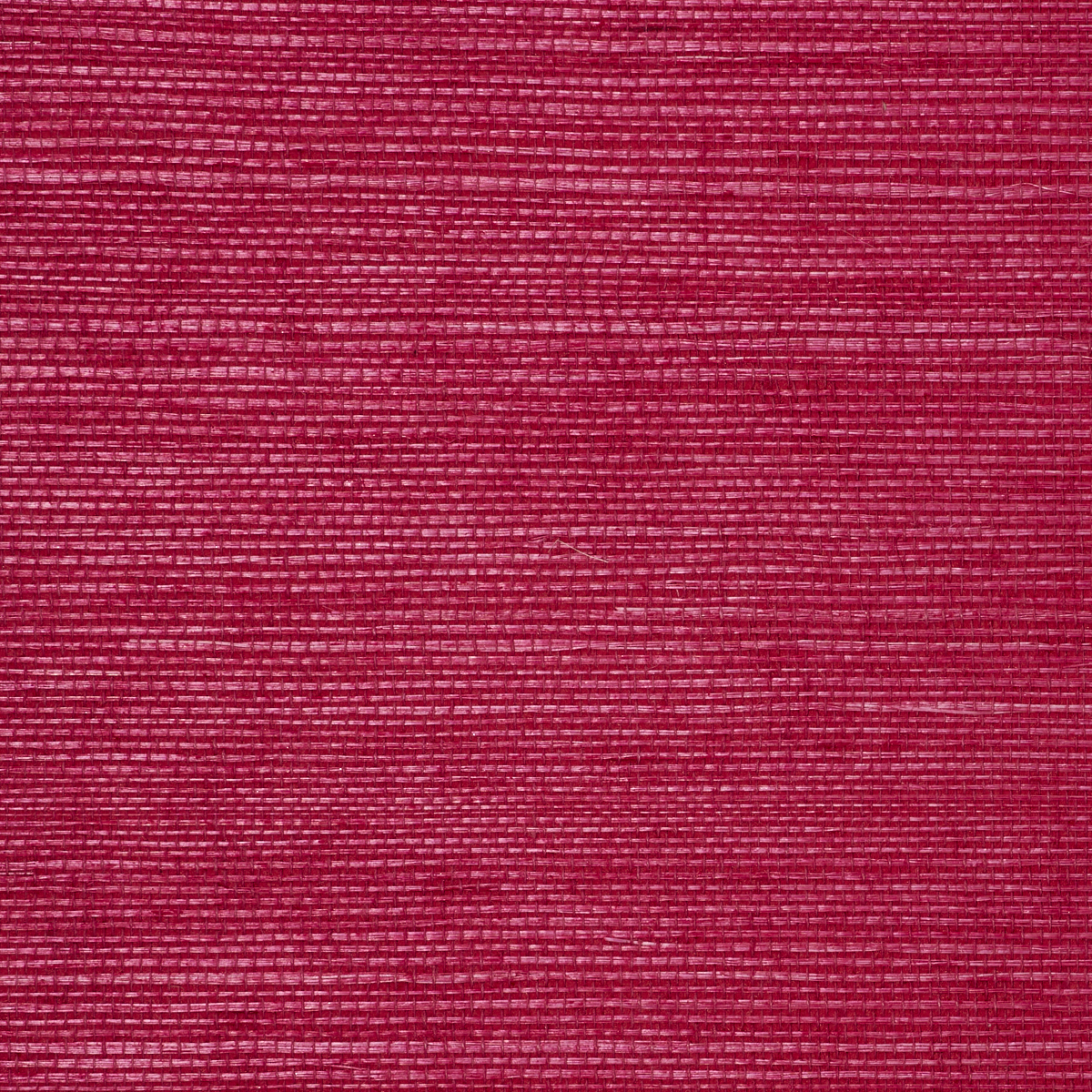 MANILA-HEMP-HONEYSUCKLE-PHILLIP-JEFFRIES-5267 - Phillip Jeffries Wallpaper Wallpaper