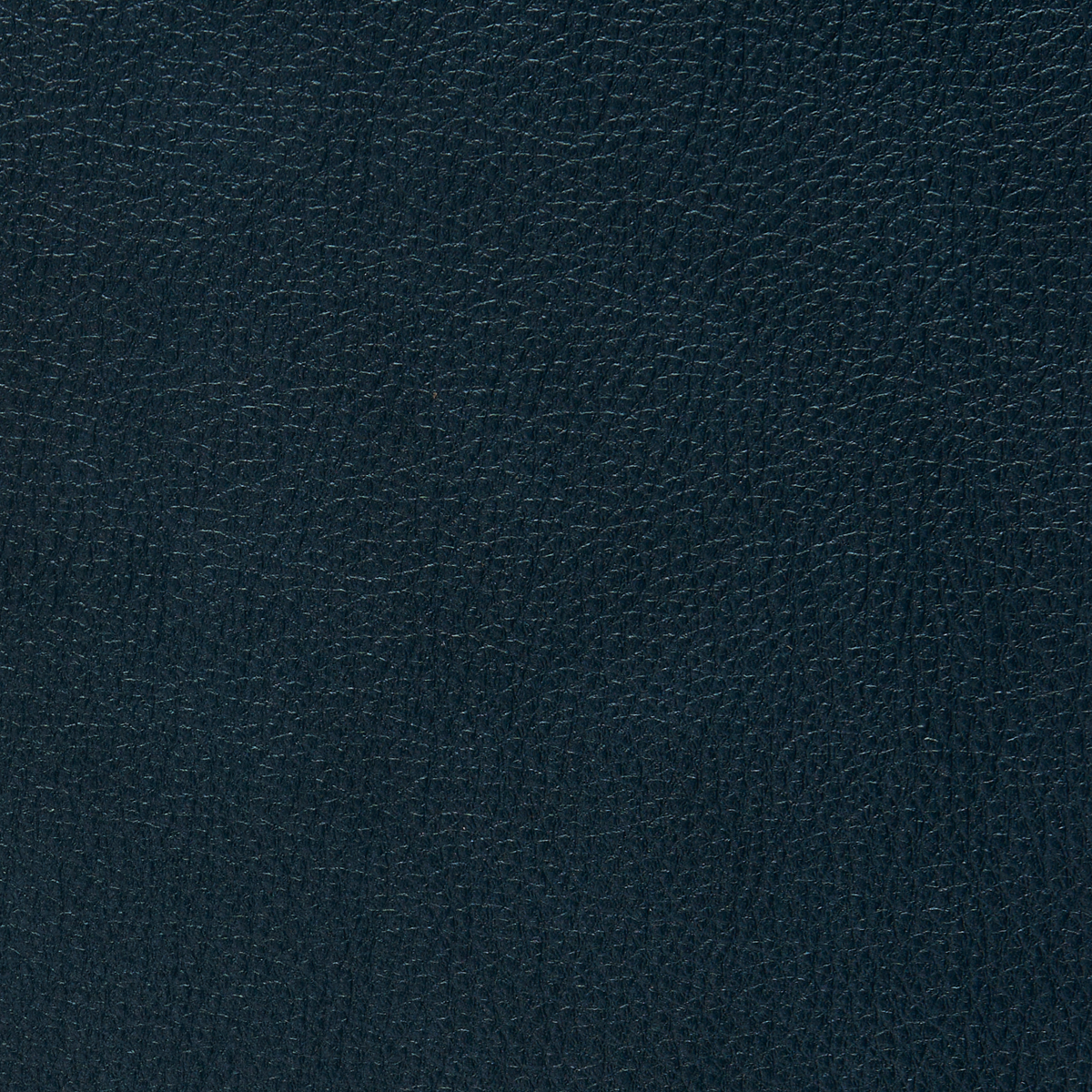 VINYL-LUXE-LEATHERS-FEATHERBUCK-PHILLIP-JEFFRIES-7027