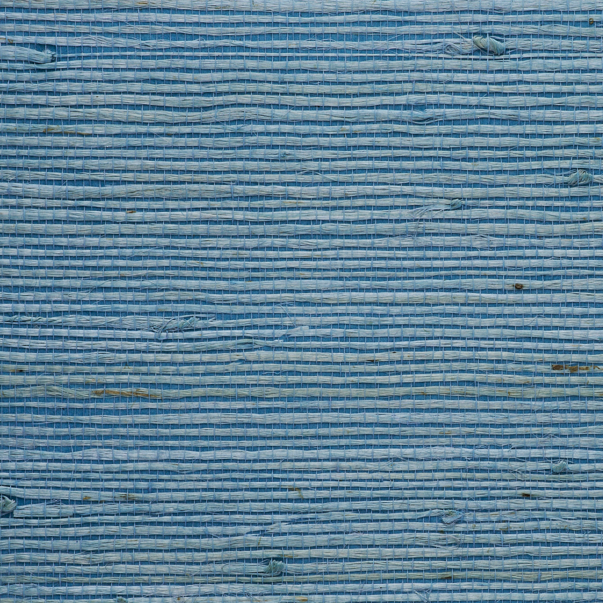 JUICY-JUTE-FORGET-ME-NOT-PHILLIP-JEFFRIES-9255