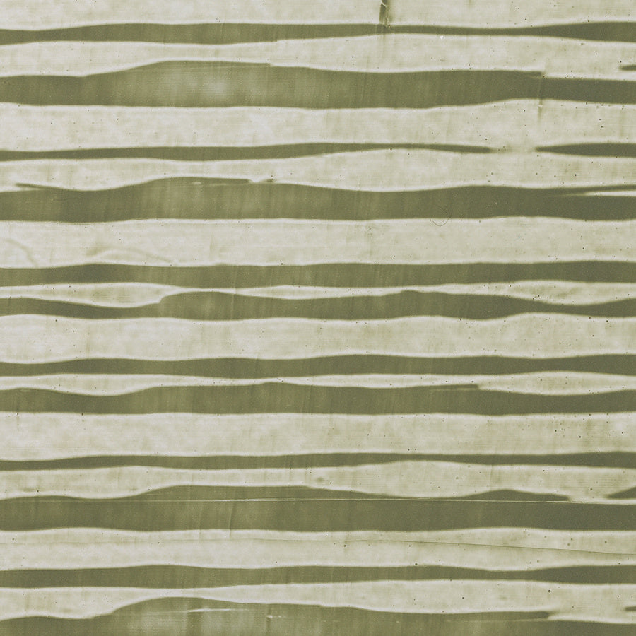 GILDED-AGE-ELMS-PHILLIP-JEFFRIES-5838 - Phillip Jeffries Wallpaper Wallcovering