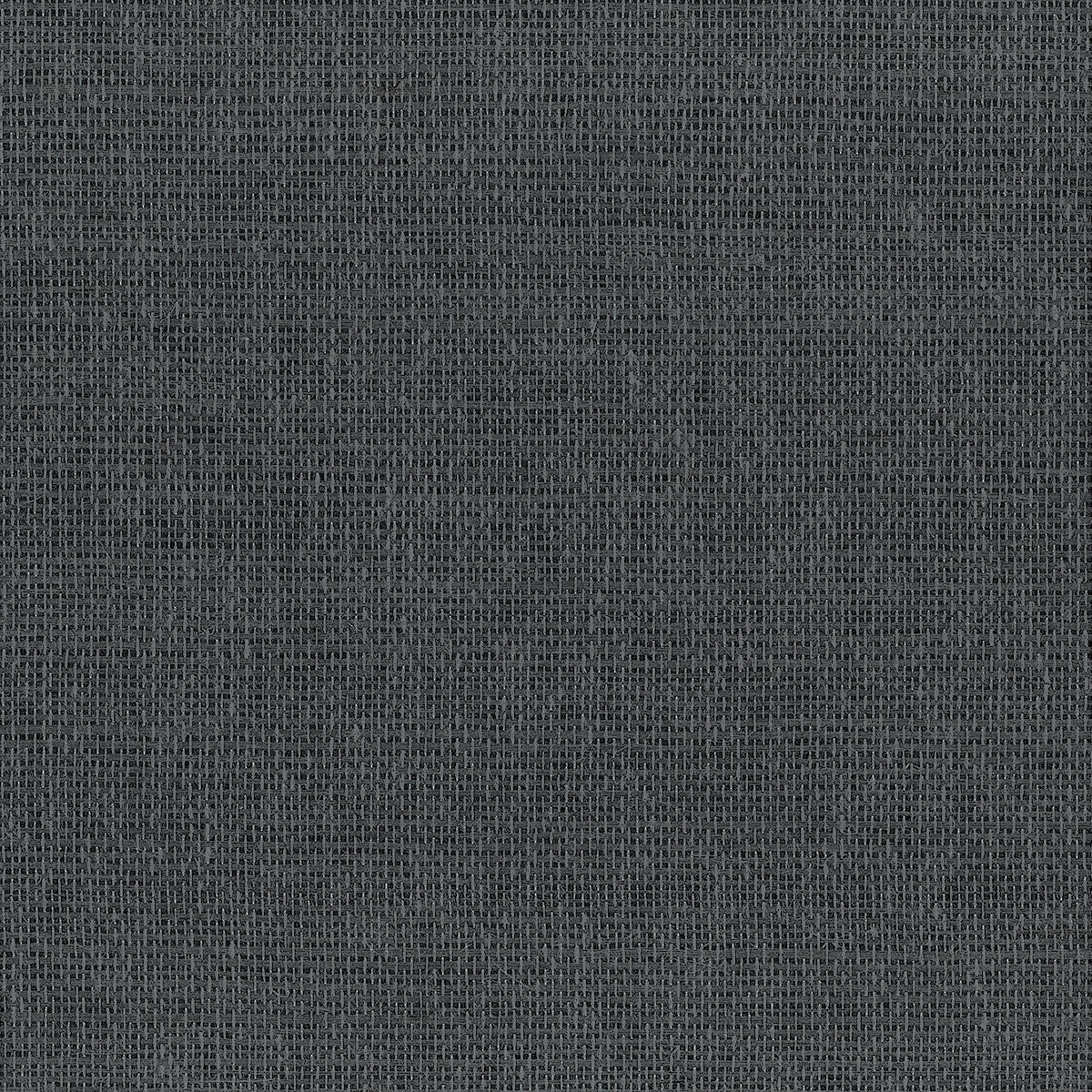 GLIMMERING-GRASS-MOONLIT-ON-GLAM-GRASS-PHILLIP-JEFFRIES-37110 - Phillip Jeffries Wallpaper Wallcovering