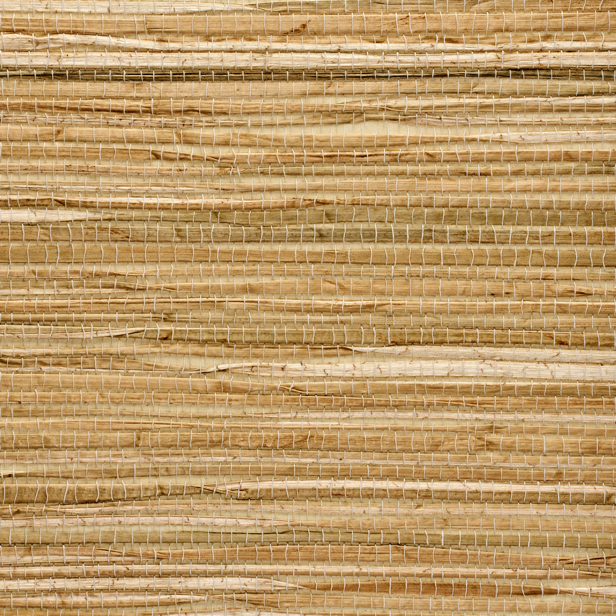 Grass Roots Natural - Phillip Jeffries 3366 -Wallpaper