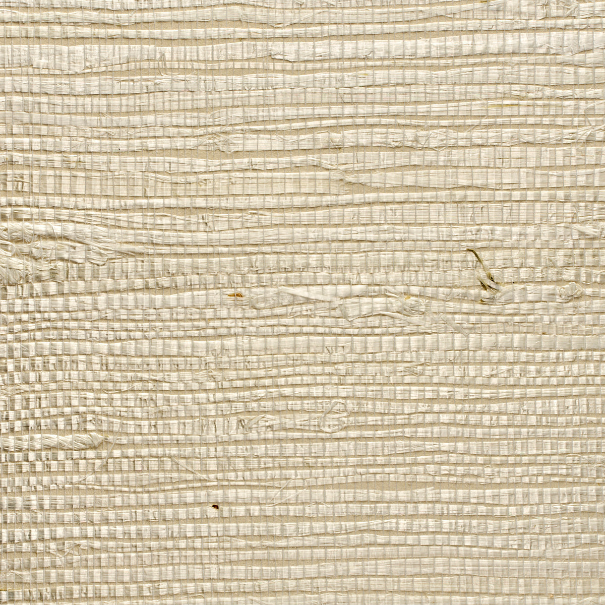 EXTRA-FINE-ARROWROOT-WHITE-PHILLIP-JEFFRIES-5202