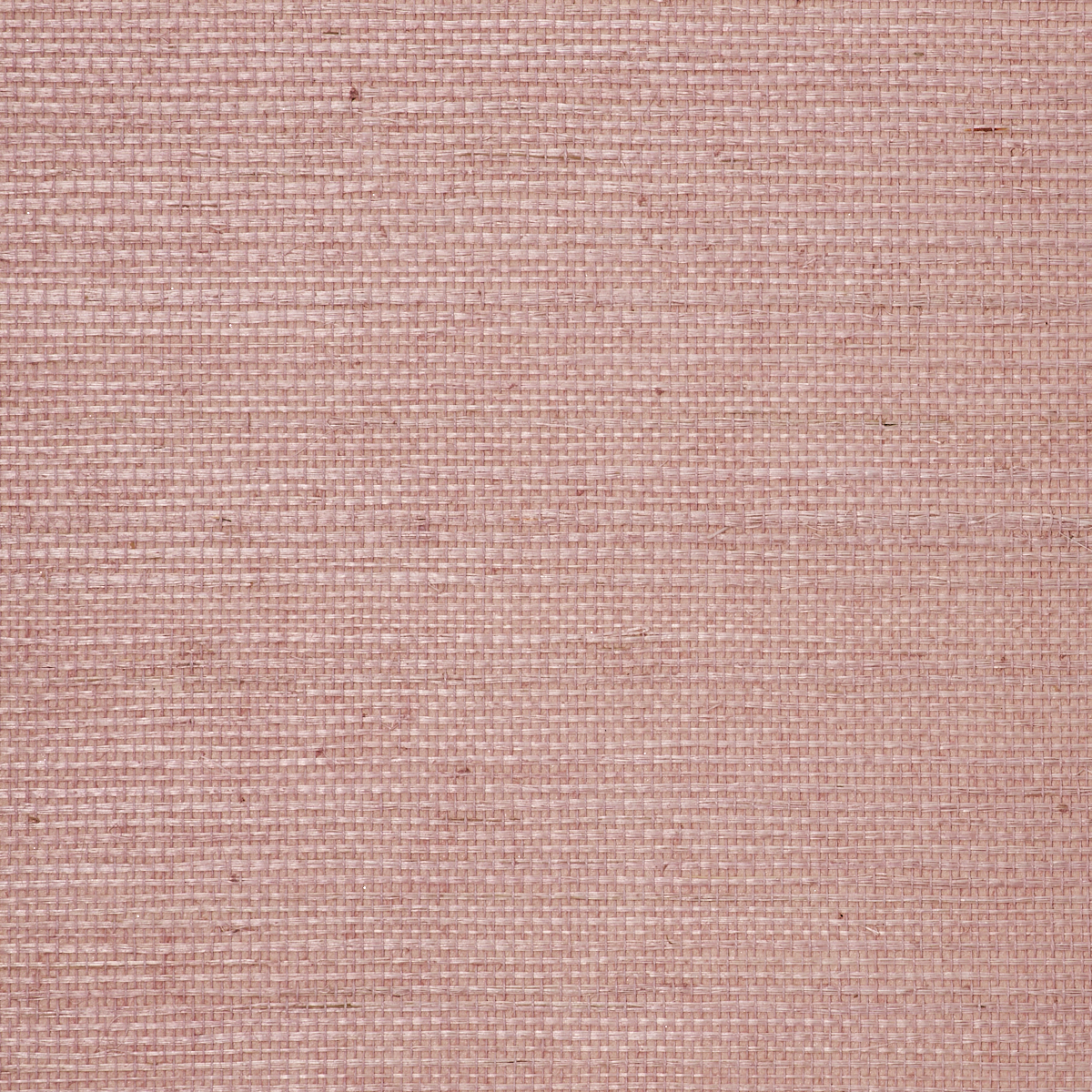 MANILA-HEMP-PETAL-PHILLIP-JEFFRIES-5237 - Phillip Jeffries Wallpaper Wallpaper