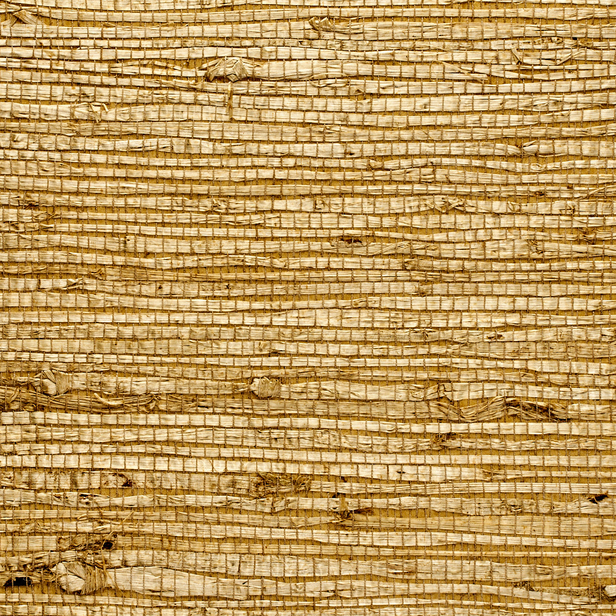 EXTRA-FINE-ARROWROOT-SPANISH-MOSS-PHILLIP-JEFFRIES-1743 - Phillip Jeffries Wallpaper Wallpaper