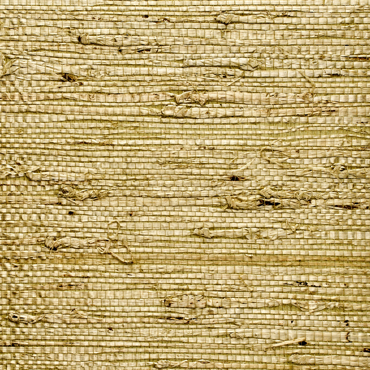 EXTRA-FINE-ARROWROOT-SPRINGTIME-PHILLIP-JEFFRIES-1737