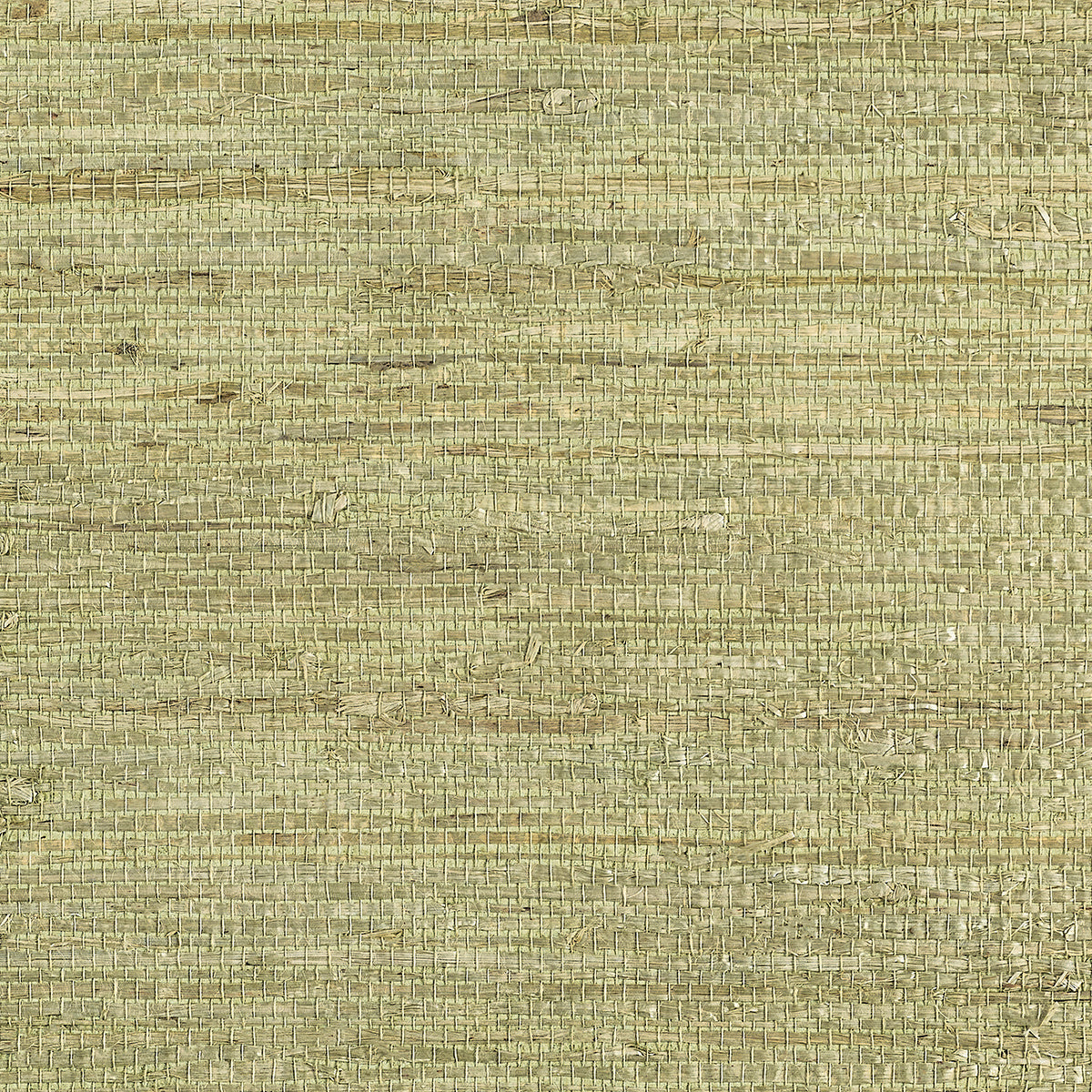 EXTRA-FINE-ARROWROOT-SPRINGTIME-PHILLIP-JEFFRIES-1737