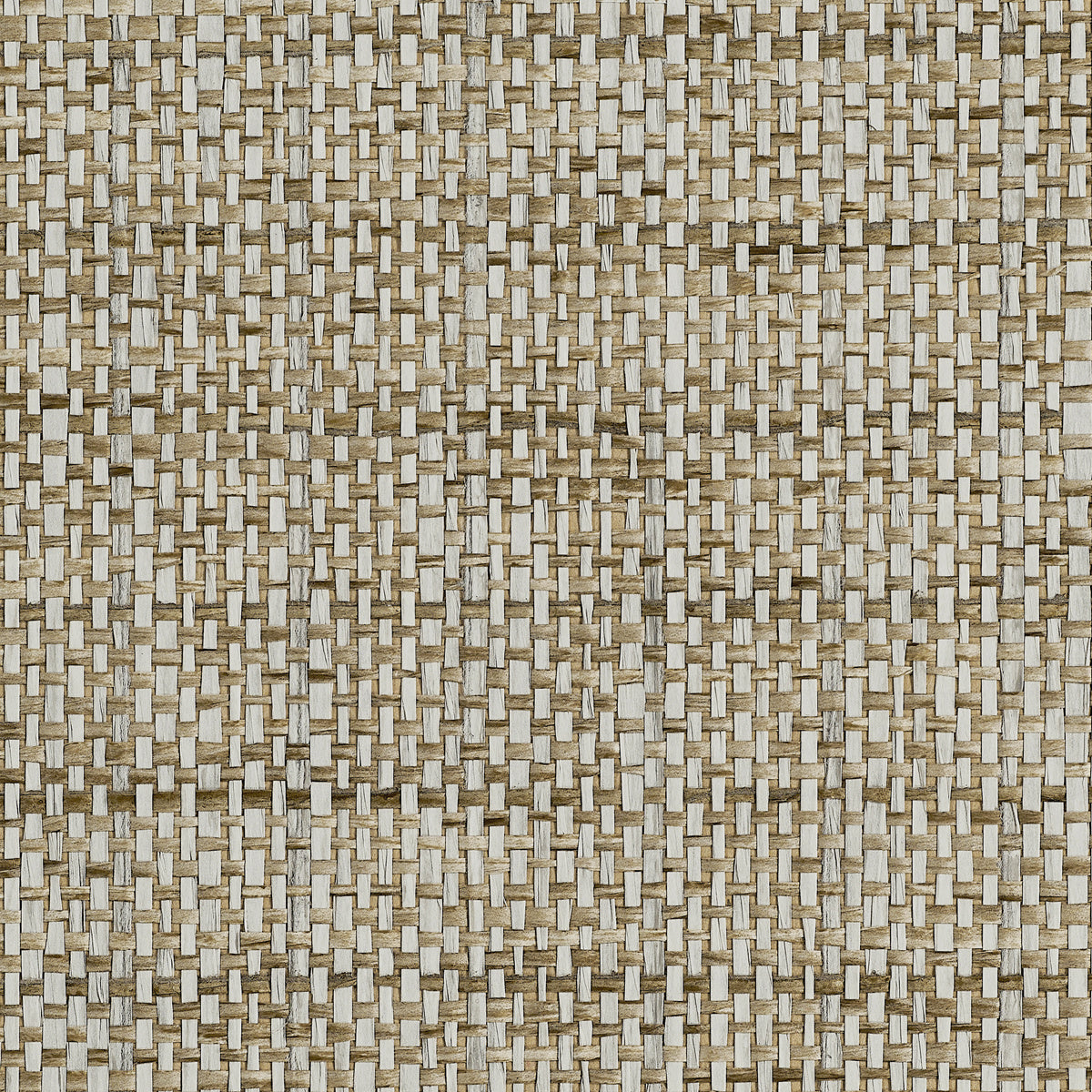 GRACEFUL-GRID-MUSHROOM-PHILLIP-JEFFRIES-10485
