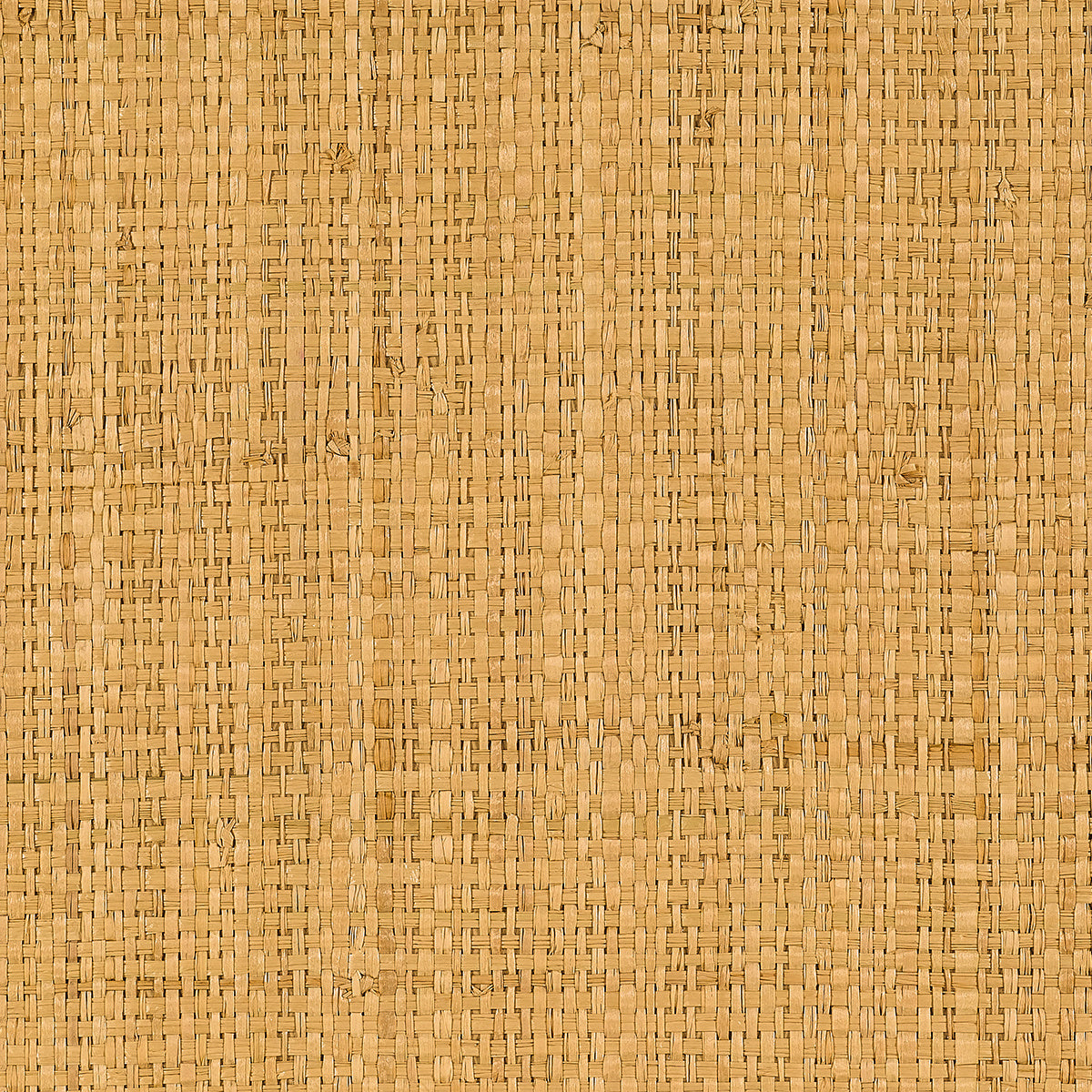 CAPRI-RAFFIA-GOLDEN-SHORELINE-PHILLIP-JEFFRIES-31400 - Phillip Jeffries Wallpaper Wallpaper