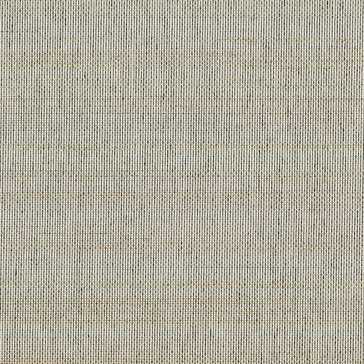 HORSEHAIR-GRULLA-GREY-PHILLIP-JEFFRIES-10769 - Phillip Jeffries Wallpaper Papel pintado