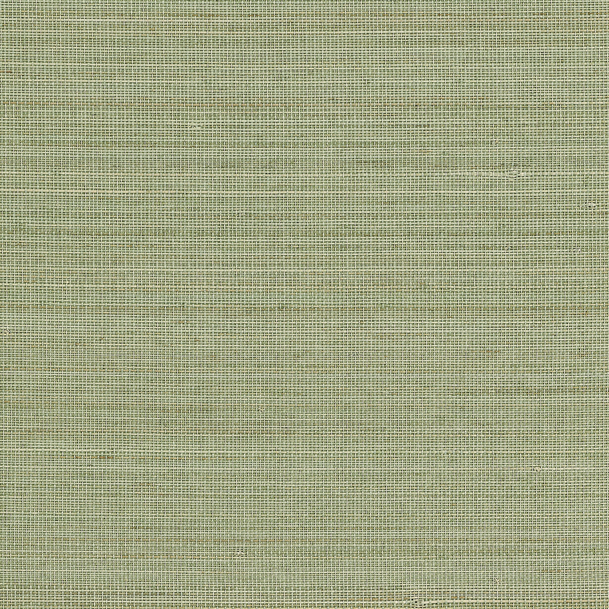 ABACA-HARVEST-CALM-CELADON-PHILLIP-JEFFRIES-23707 - Phillip Jeffries Wallpaper Papel pintado